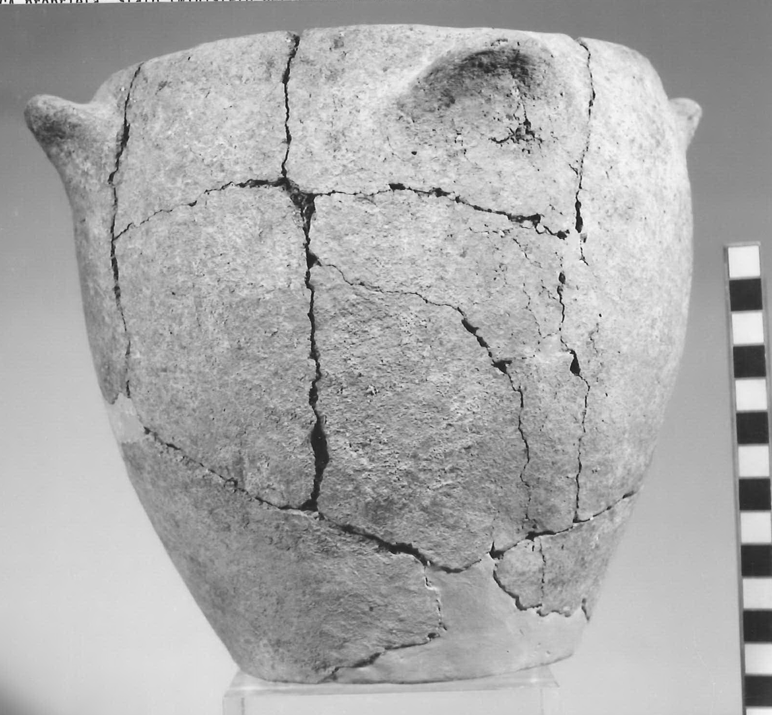 olletta ovoide - Piceno V (sec. V a.C)