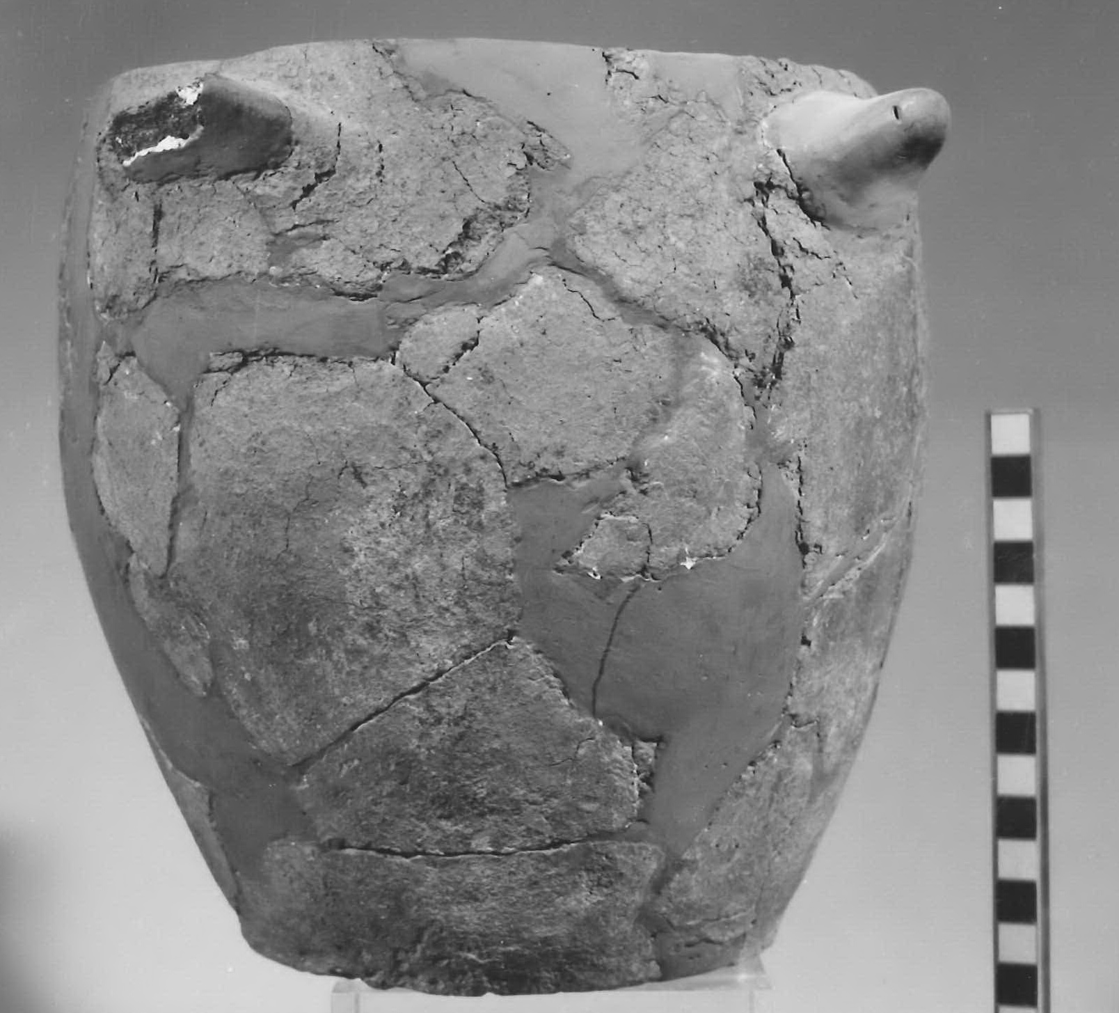 olletta ovoide - Piceno V (sec. V a.C)