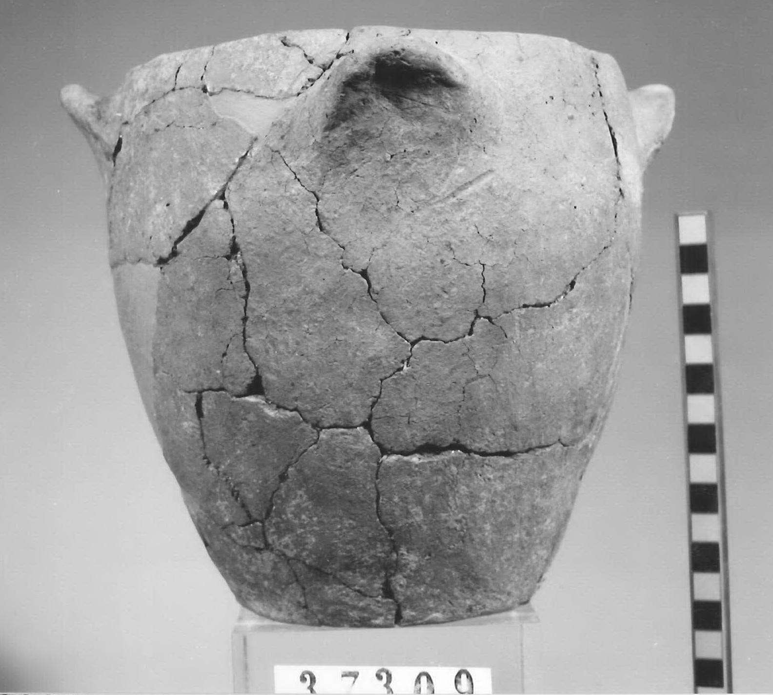 olletta ovoide - Piceno V (sec. V a.C)