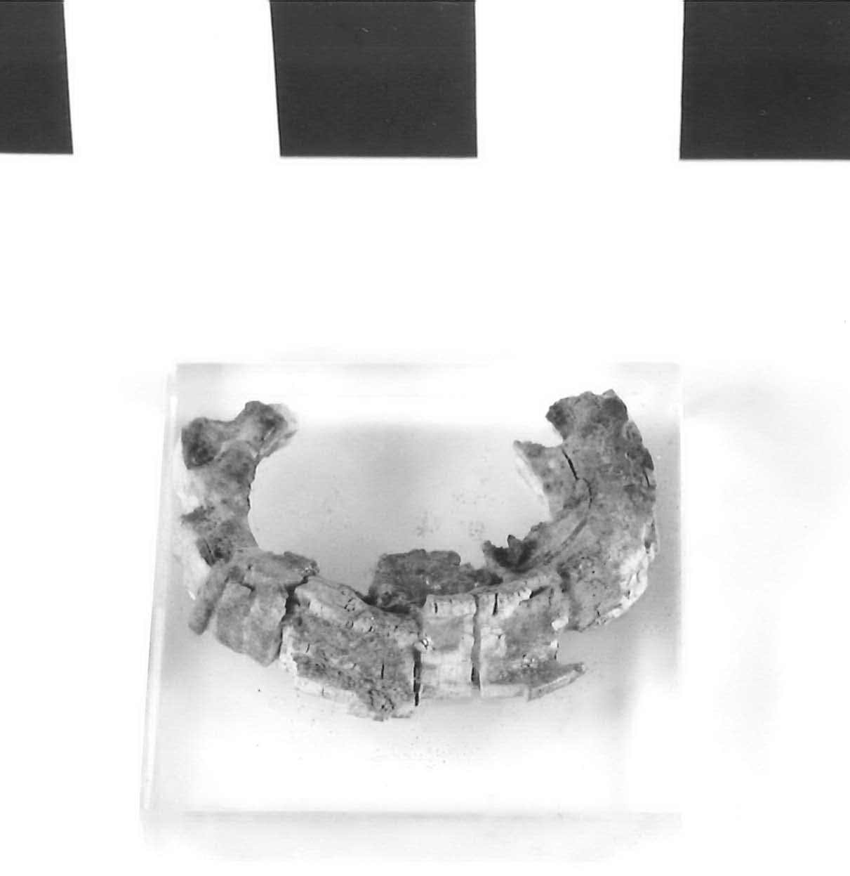 lastra - fase Piceno III (secondo quarto sec. VII a.C)