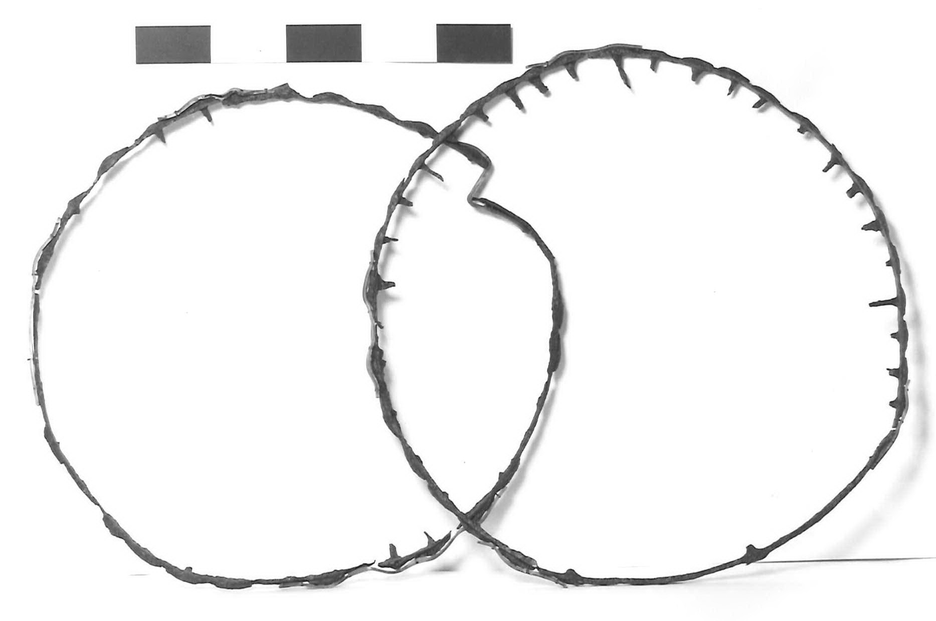 cerchione - fase Piceno III (secondo quarto sec. VII a.C)