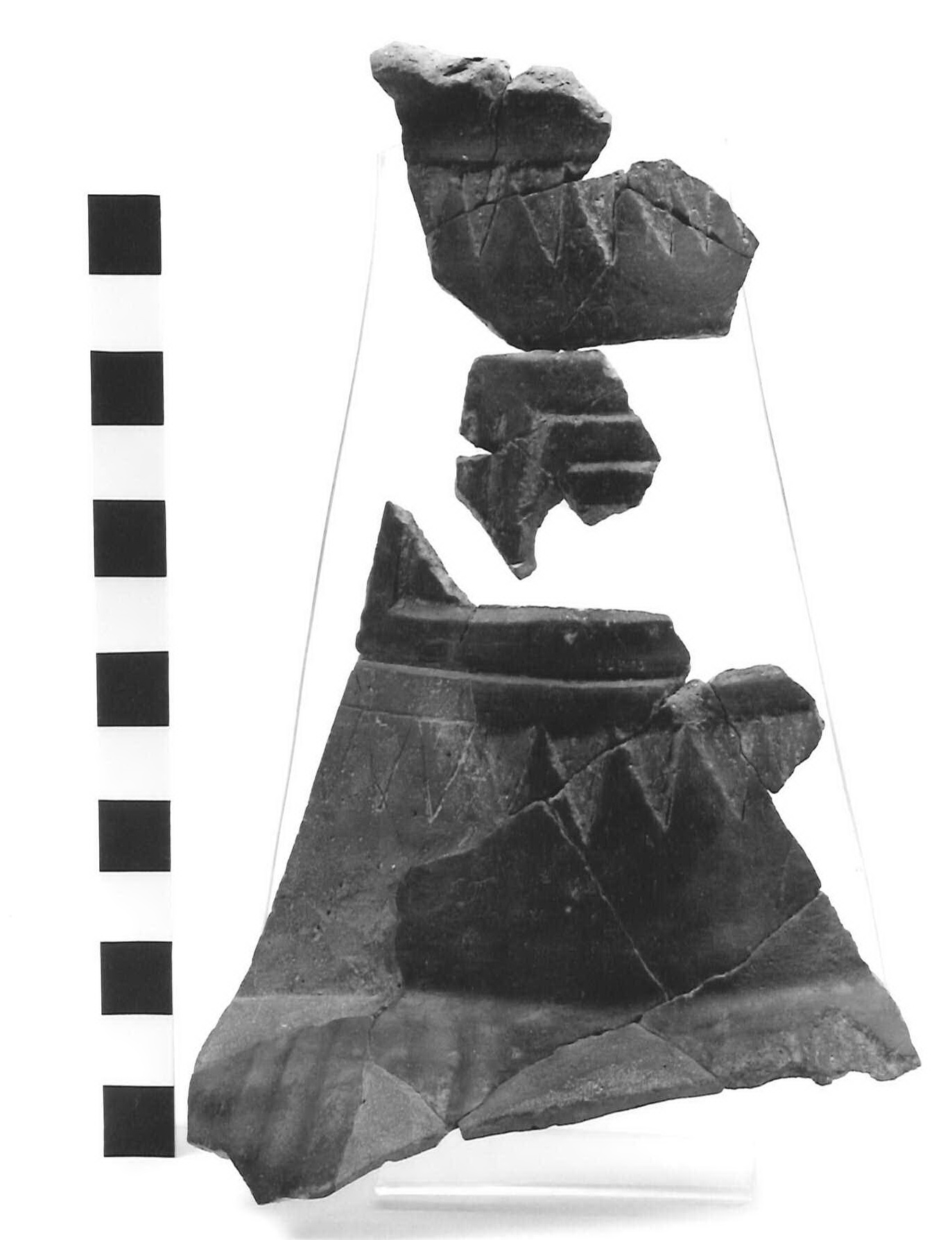 olla - fase Piceno III (terzo quarto sec. VII a.C)