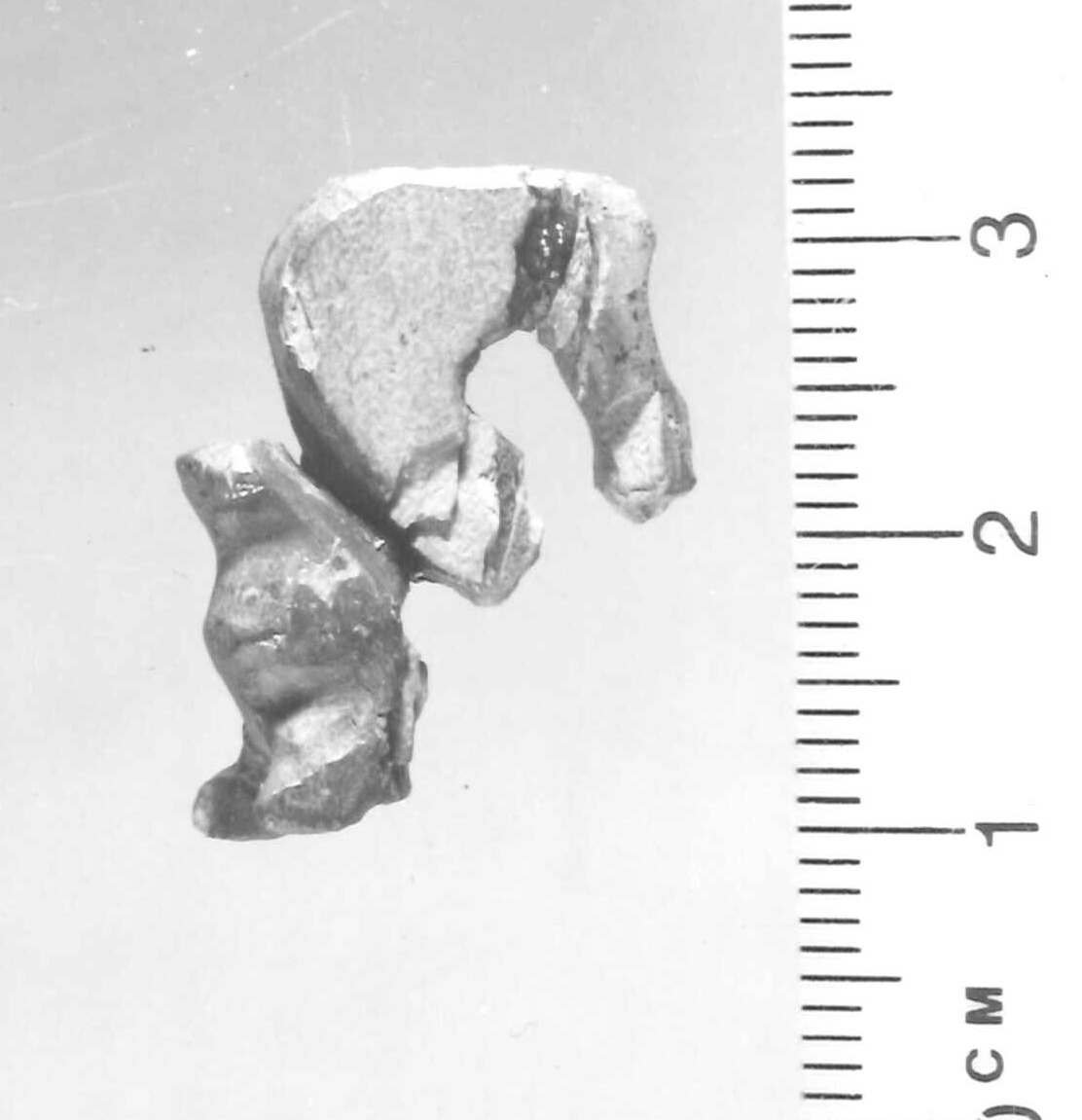 cerbiatto retrospiciente (pendaglio) - Piceno III (secc. VII-VI a.C)