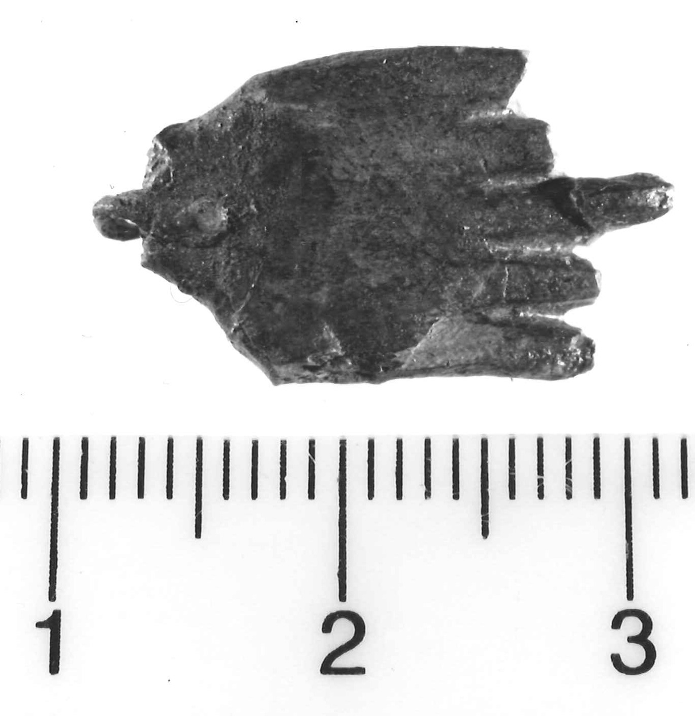 mano (pendaglio) - Piceno III (secc. VII-VI a.C)