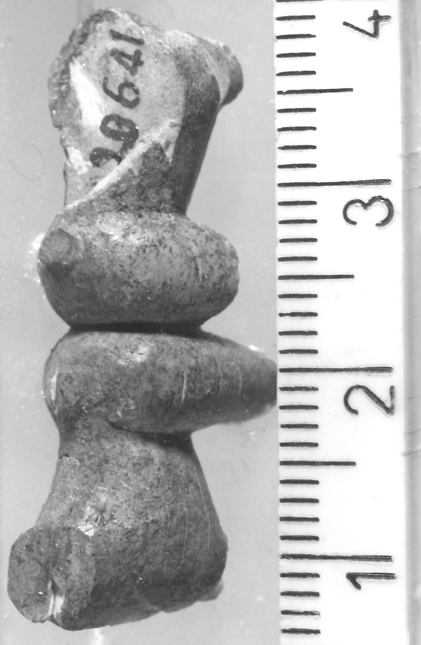 animali opposti (statuetta) - Piceno III (secc. VII-VI a.C)