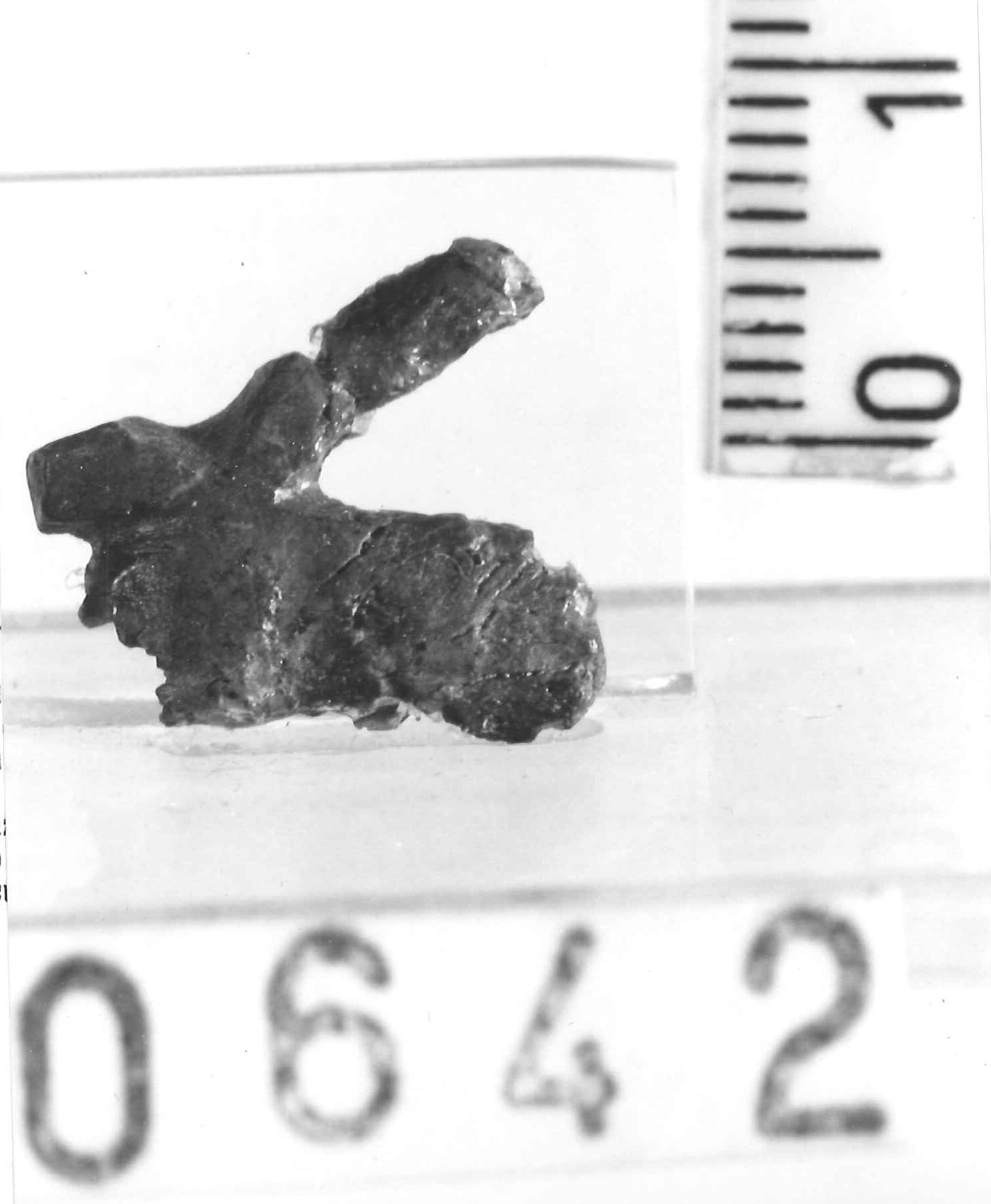 pendaglio (?)/ frammento - Piceno III (secc. VII-VI a.C)