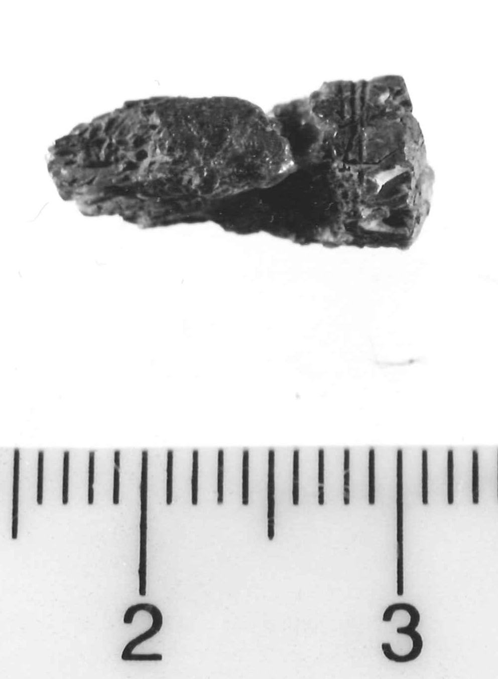 pendaglio - Piceno III (secc. VII-VI a.C)