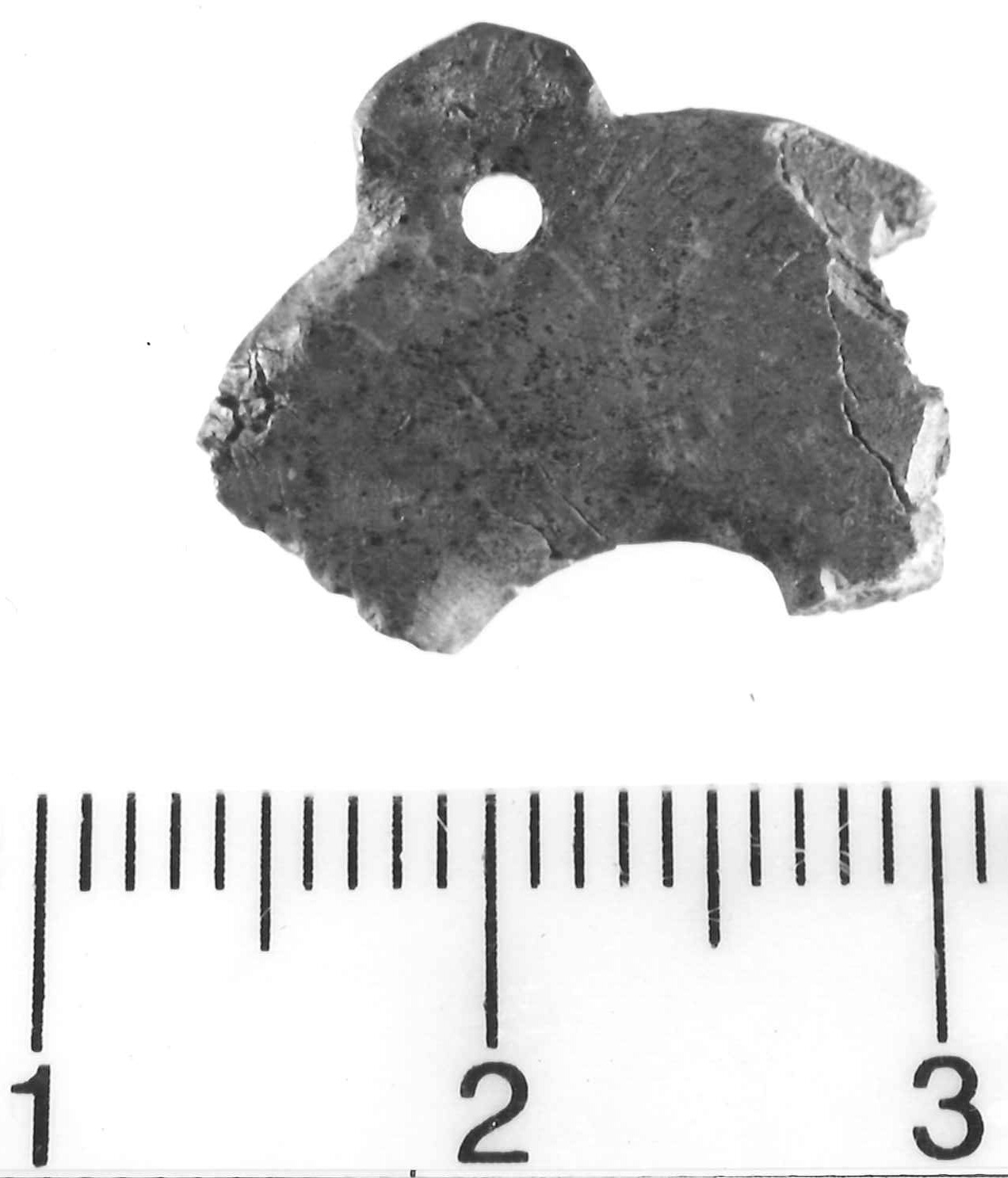 pendaglio - Piceno III (secc. VII-VI a.C)