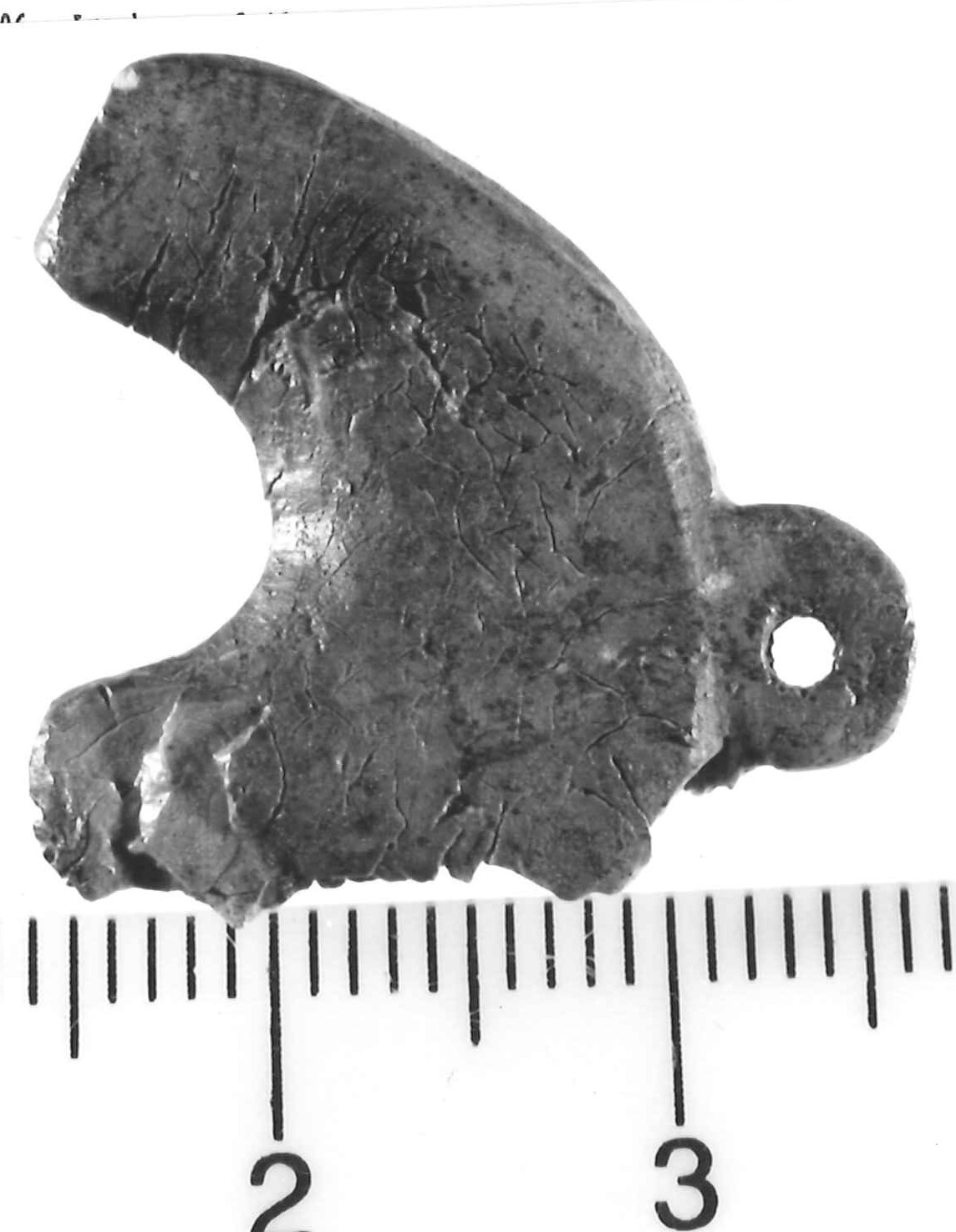 testa animale (?) (pendaglio) - Piceno III (secc. VII-VI a.C)