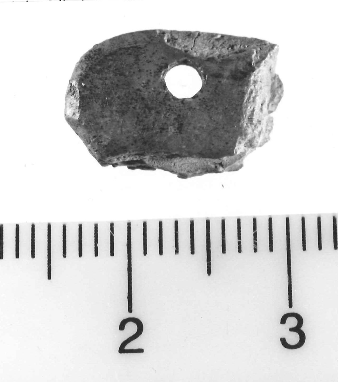 pendaglio - Piceno III (secc. VII-VI a.C)