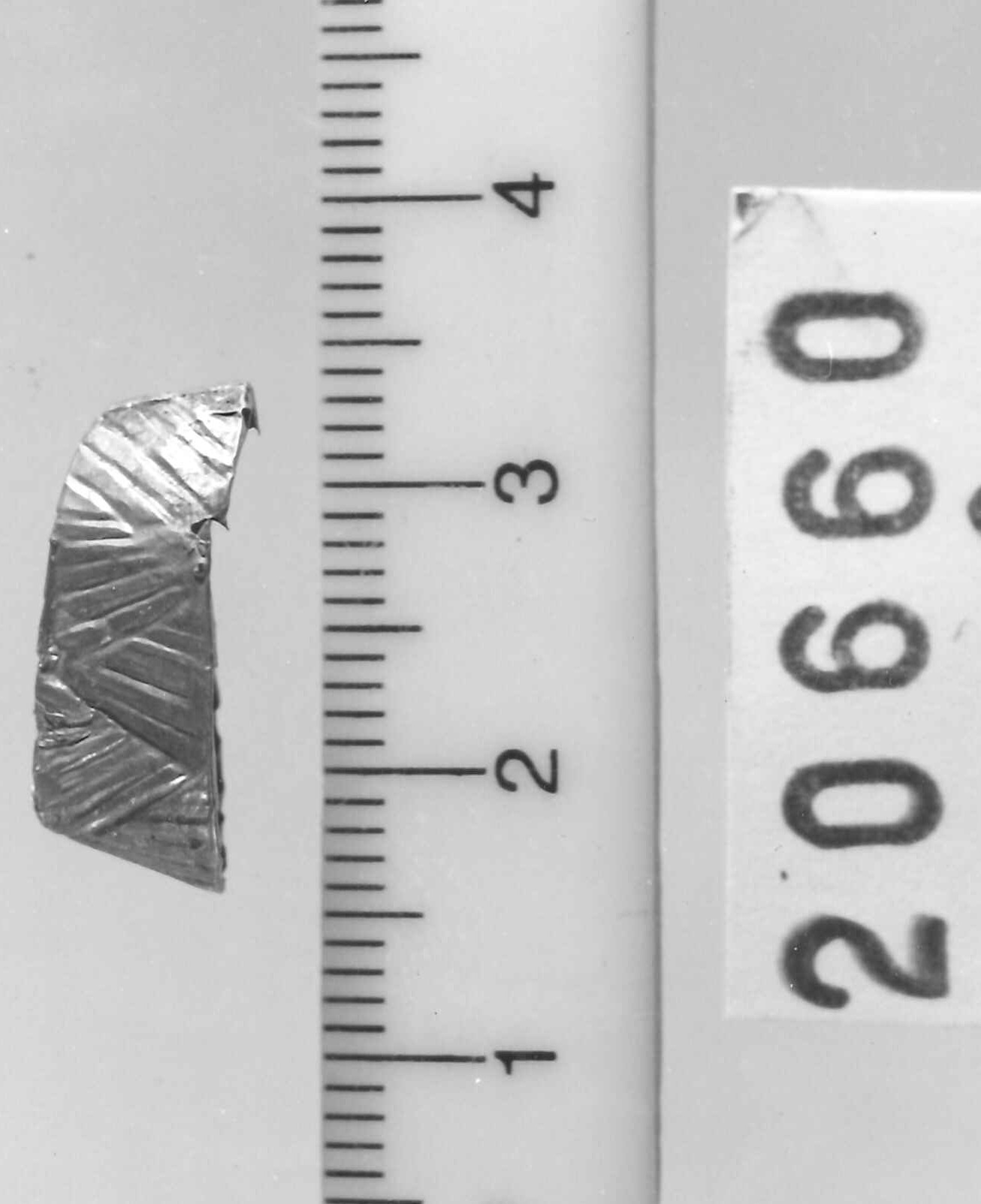 lamina/ frammento - Piceno III (secc. VII-VI a.C)