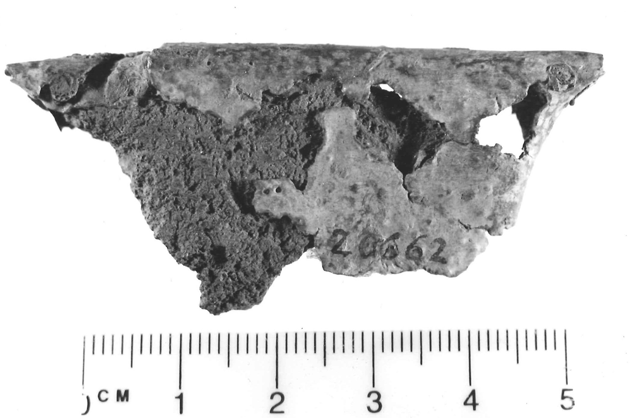 pendaglio - Piceno III (secc. VII-VI a.C)