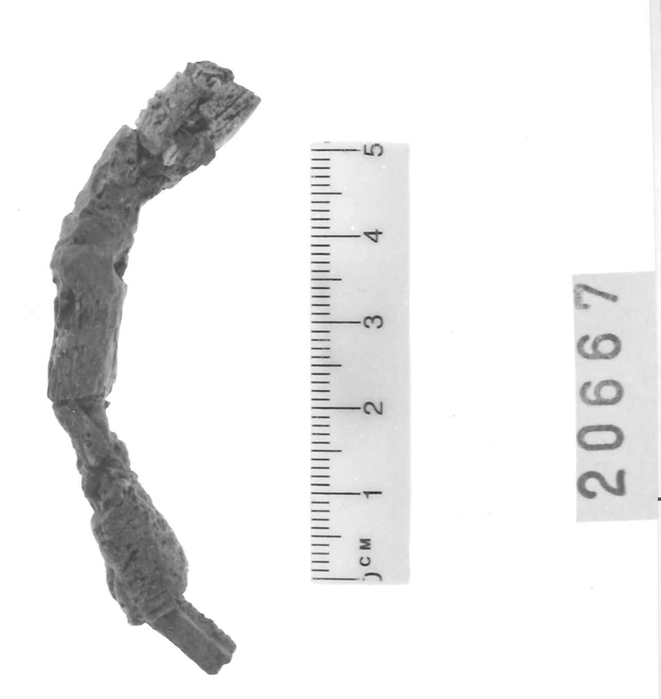 anello da sospensione (?) - Piceno III (secc. VII-VI a.C)