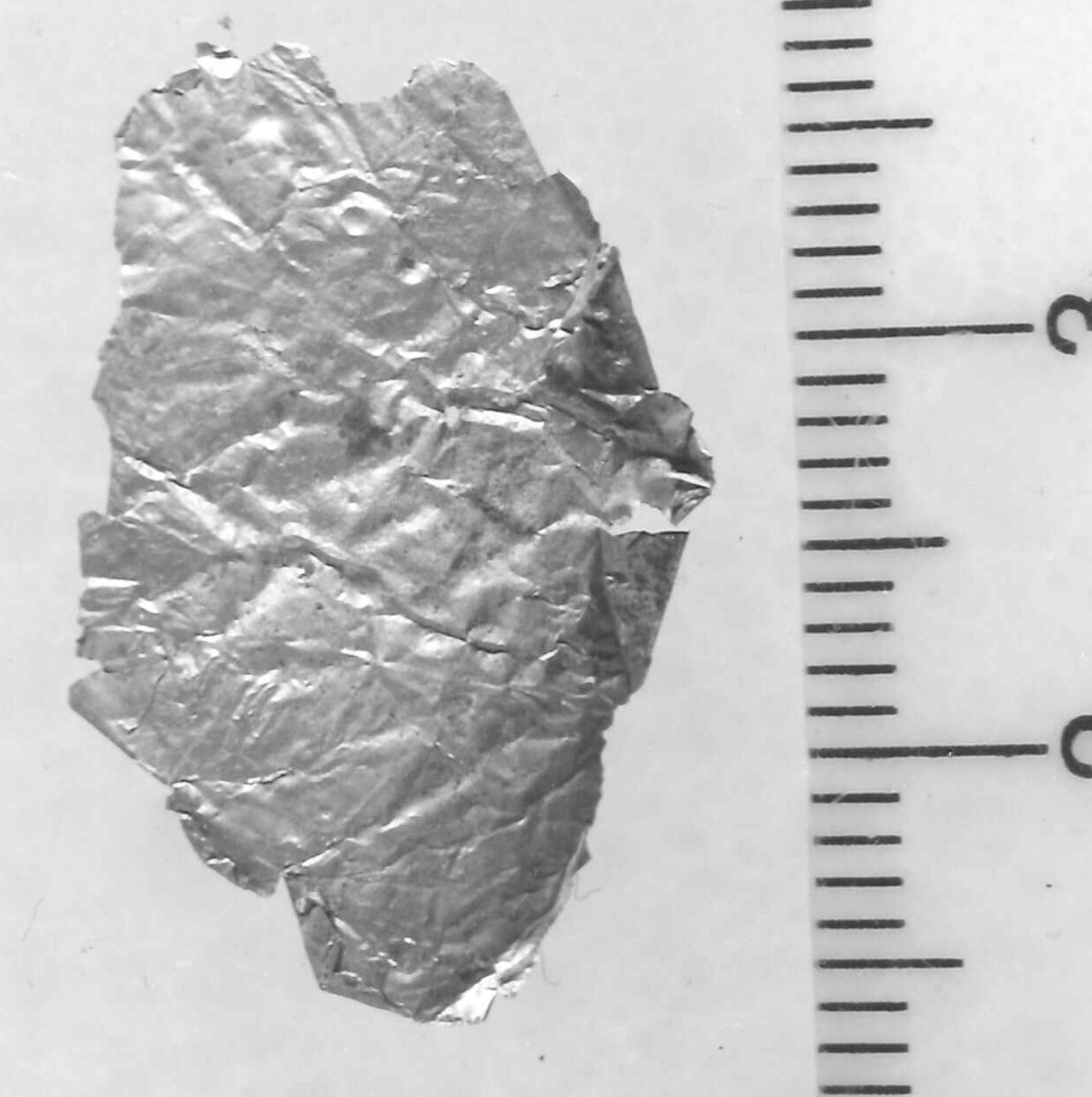 lamina/ frammento - Piceno III (secc. VII-VI a.C)