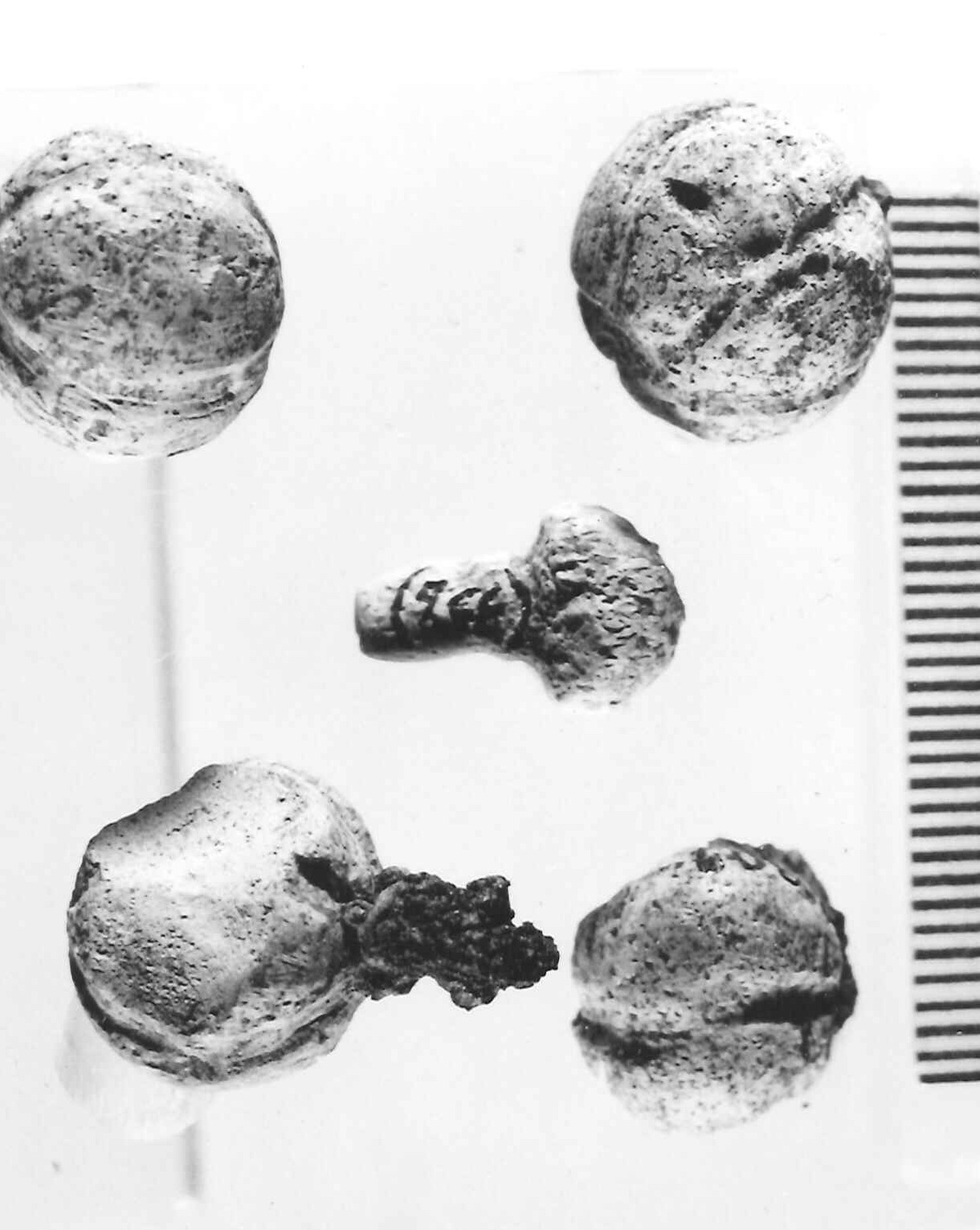 melograno (pendaglio) - Piceno III (secc. VII-VI a.C)