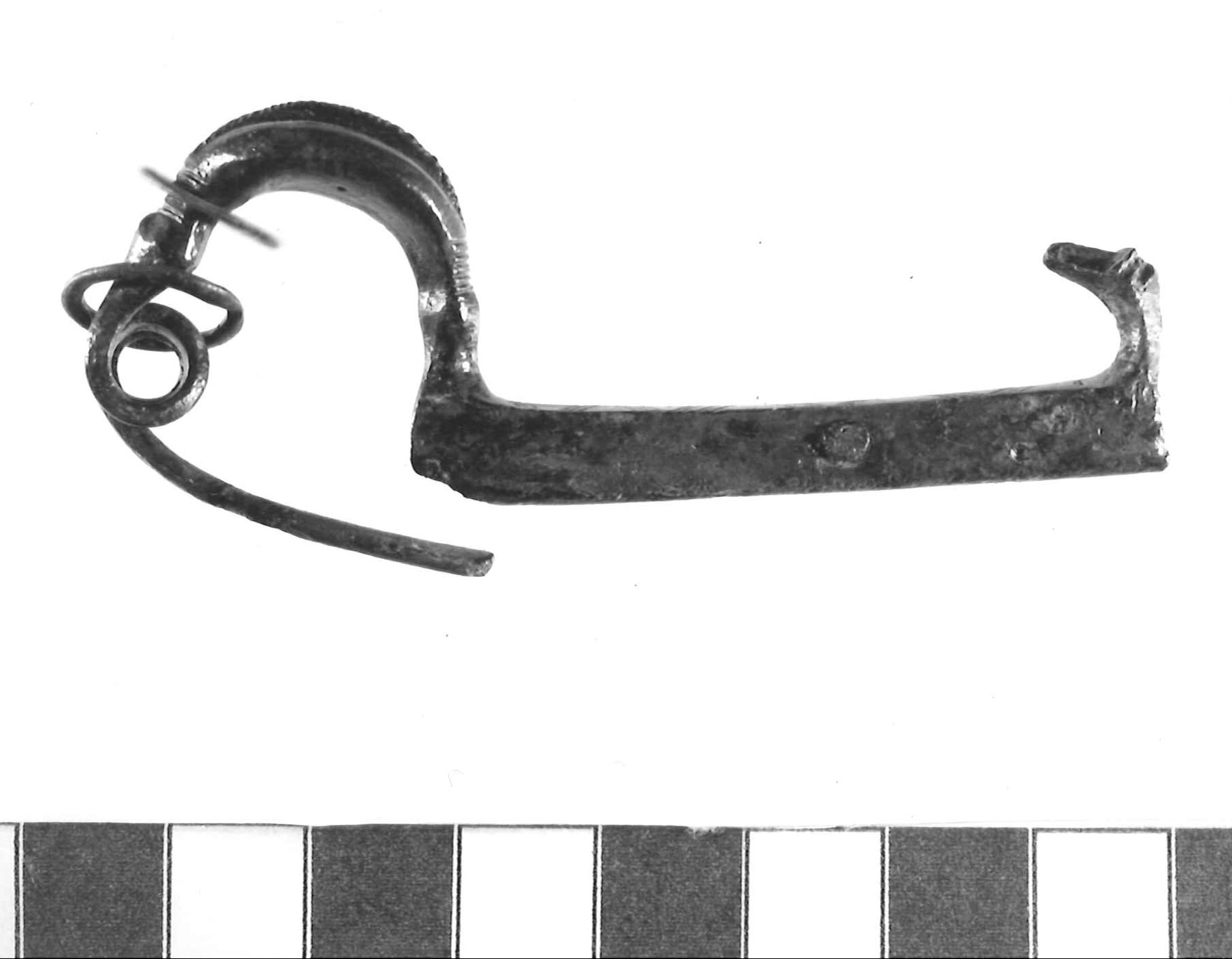 fibula ad arco crestato - Piceno III (secc. VII-VI a.C)