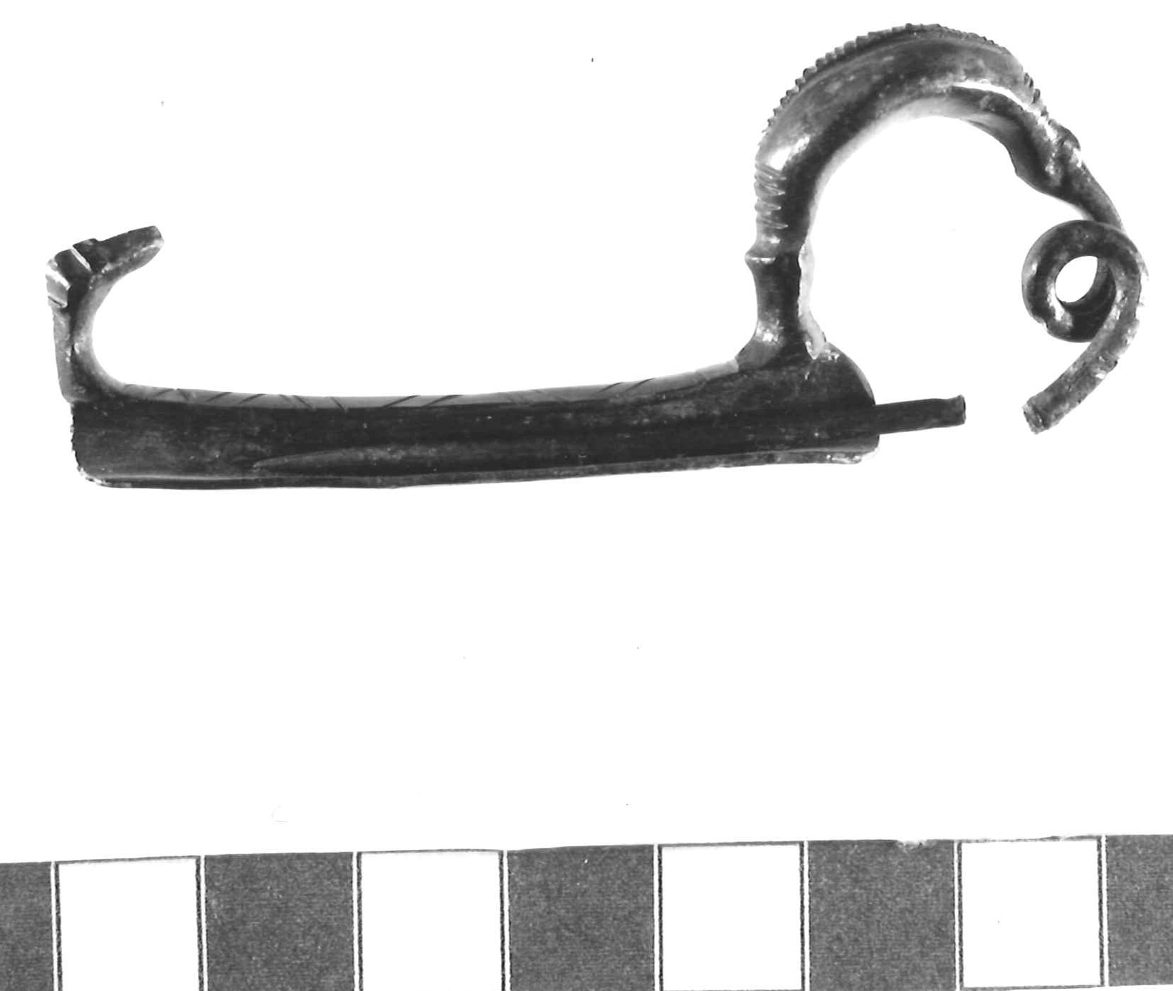 fibula ad arco crestato - Piceno III (secc. VII-VI a.C)