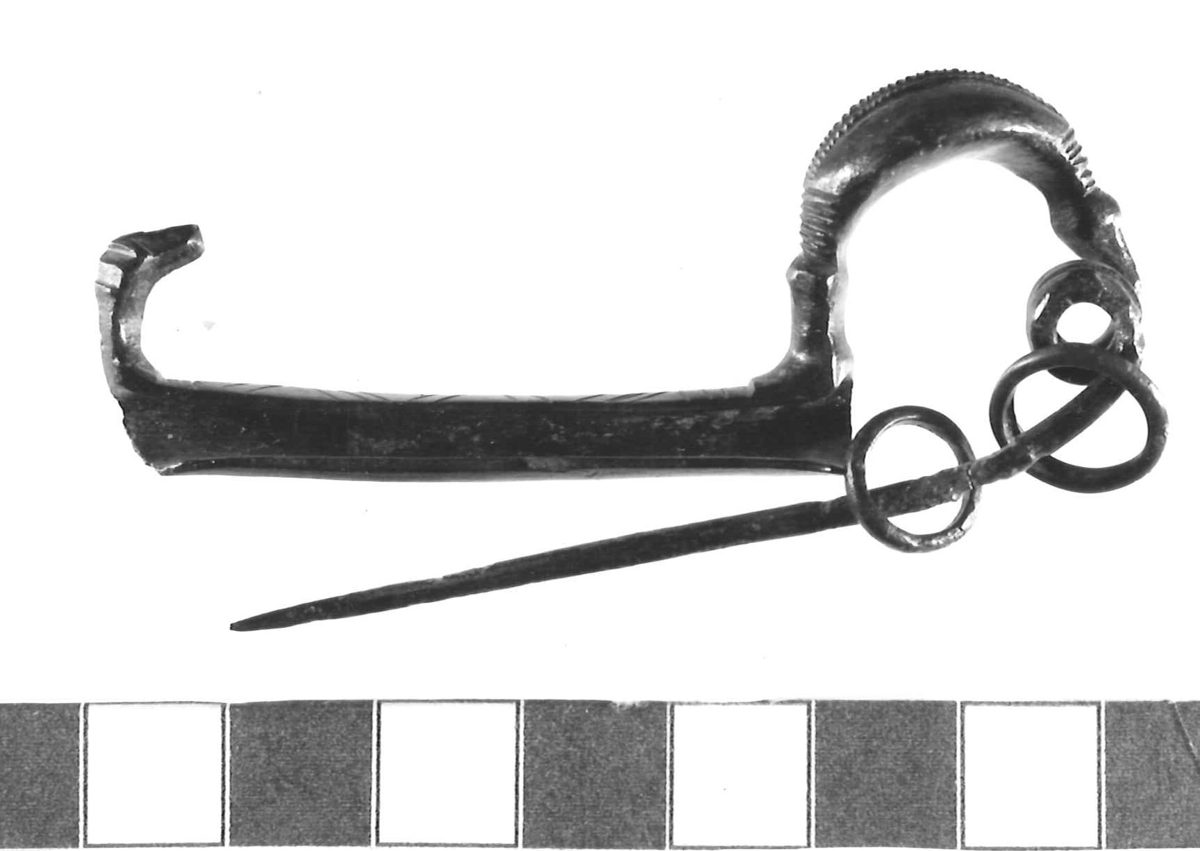 fibula ad arco crestato - Piceno III (secc. VII-VI a.C)