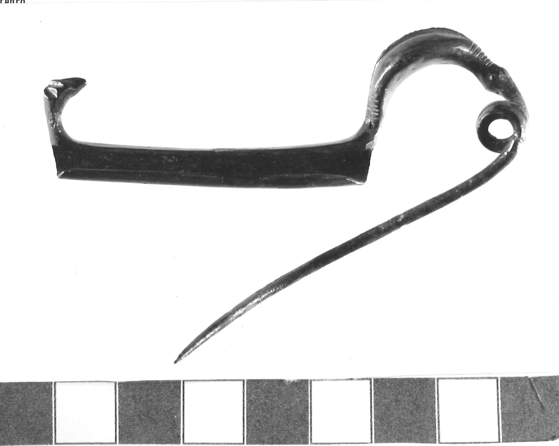 fibula ad arco crestato - Piceno III (secc. VII-VI a.C)