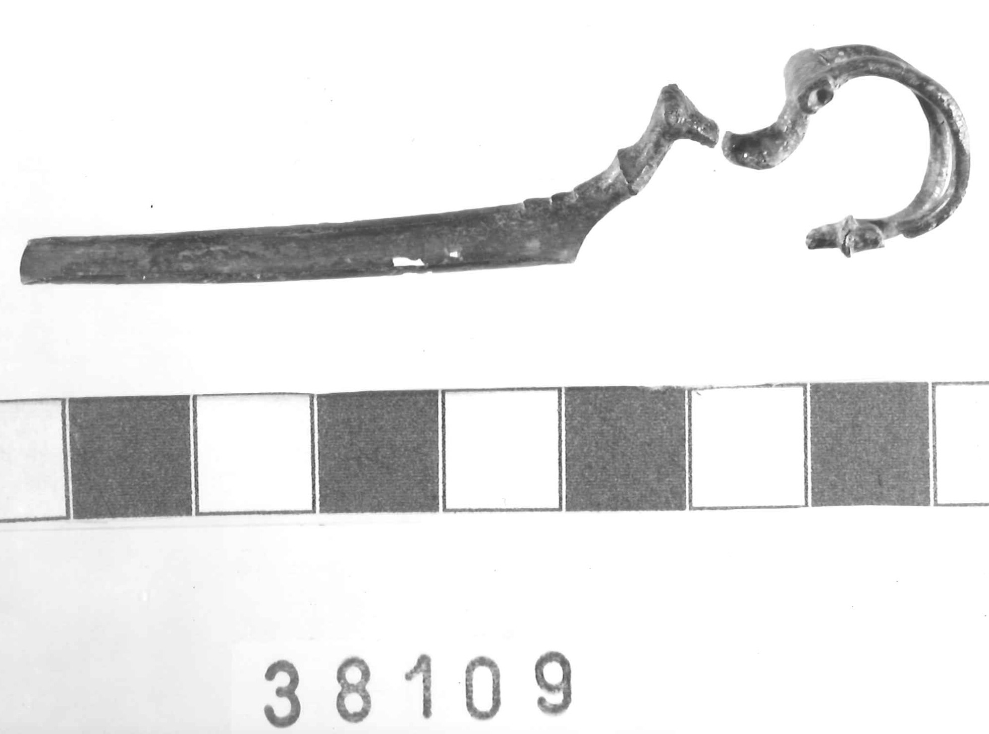 fibula a drago - Piceno III (secc. VII-VI a.C)