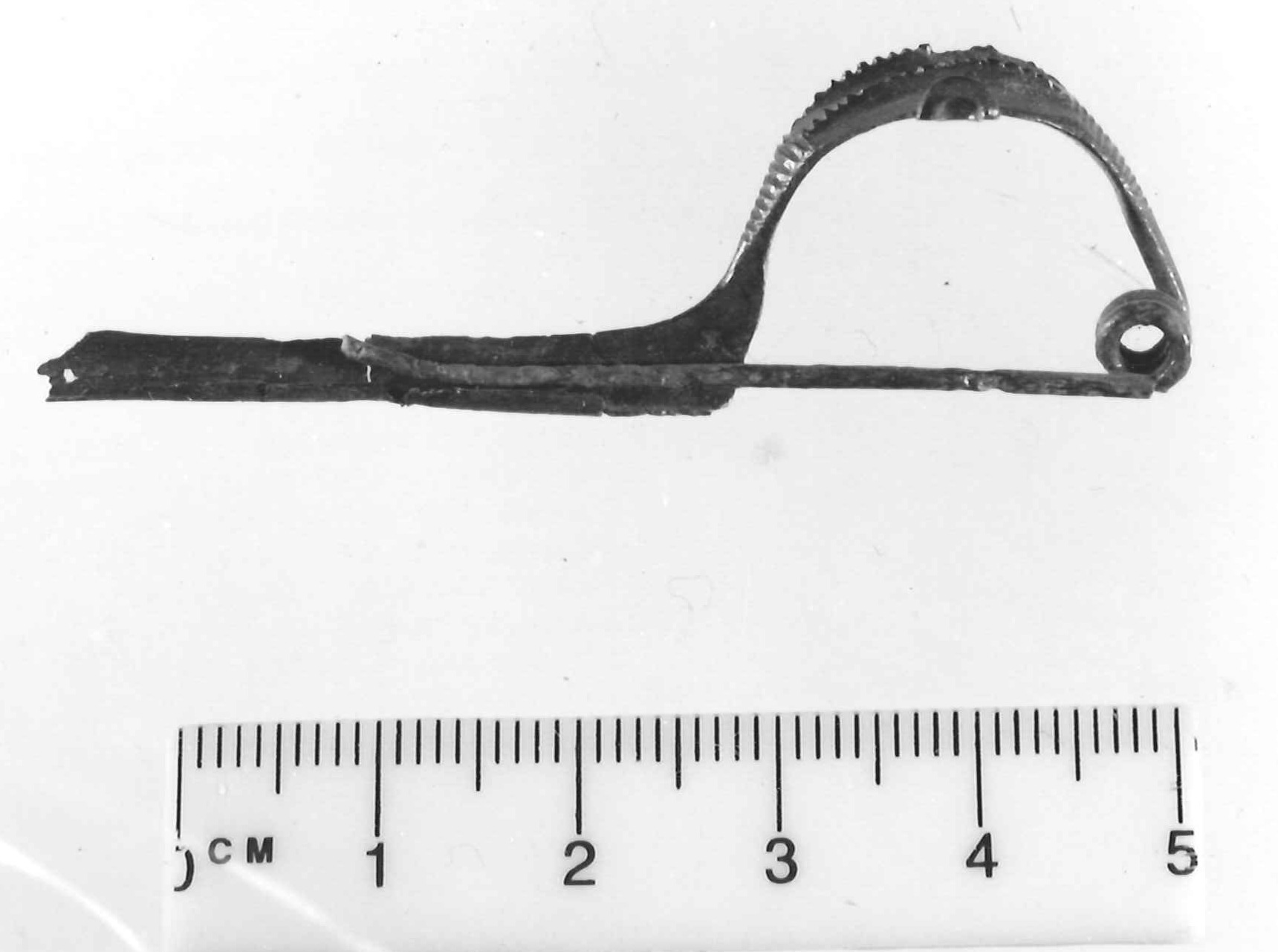 fibula con arco a nastro - Piceno III (secc. VII-VI a.C)