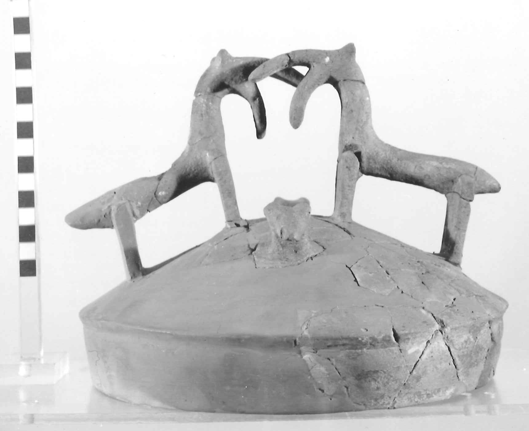 coperchio con presa plastica - Piceno III (secc. VII-VI a.C)