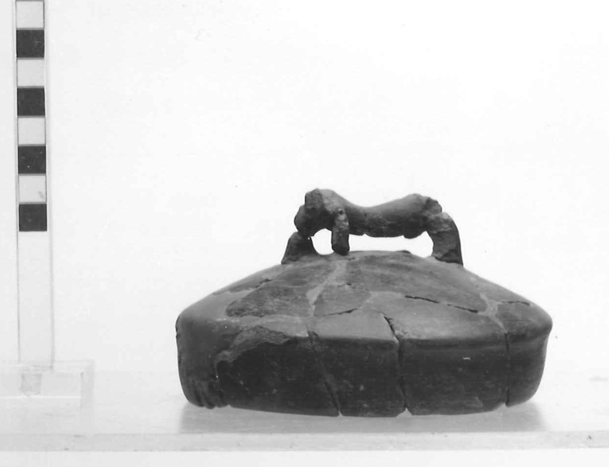 coperchio - Piceno III (secc. VII-VI a.C)