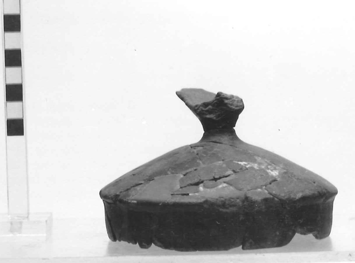 coperchio - Piceno III (secc. VII-VI a.C)