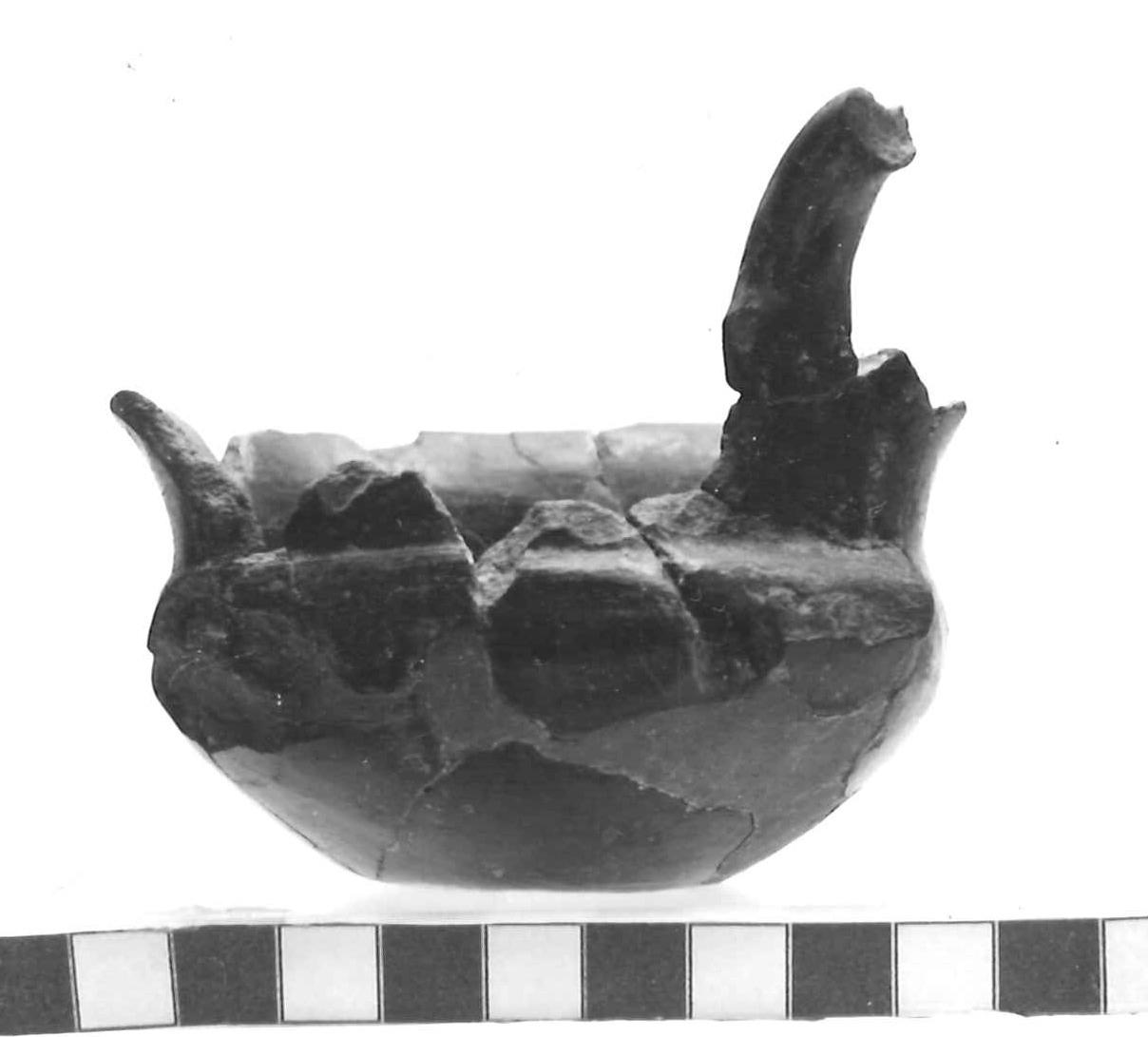 kyathos - Piceno III (secc. VII-VI a.C)