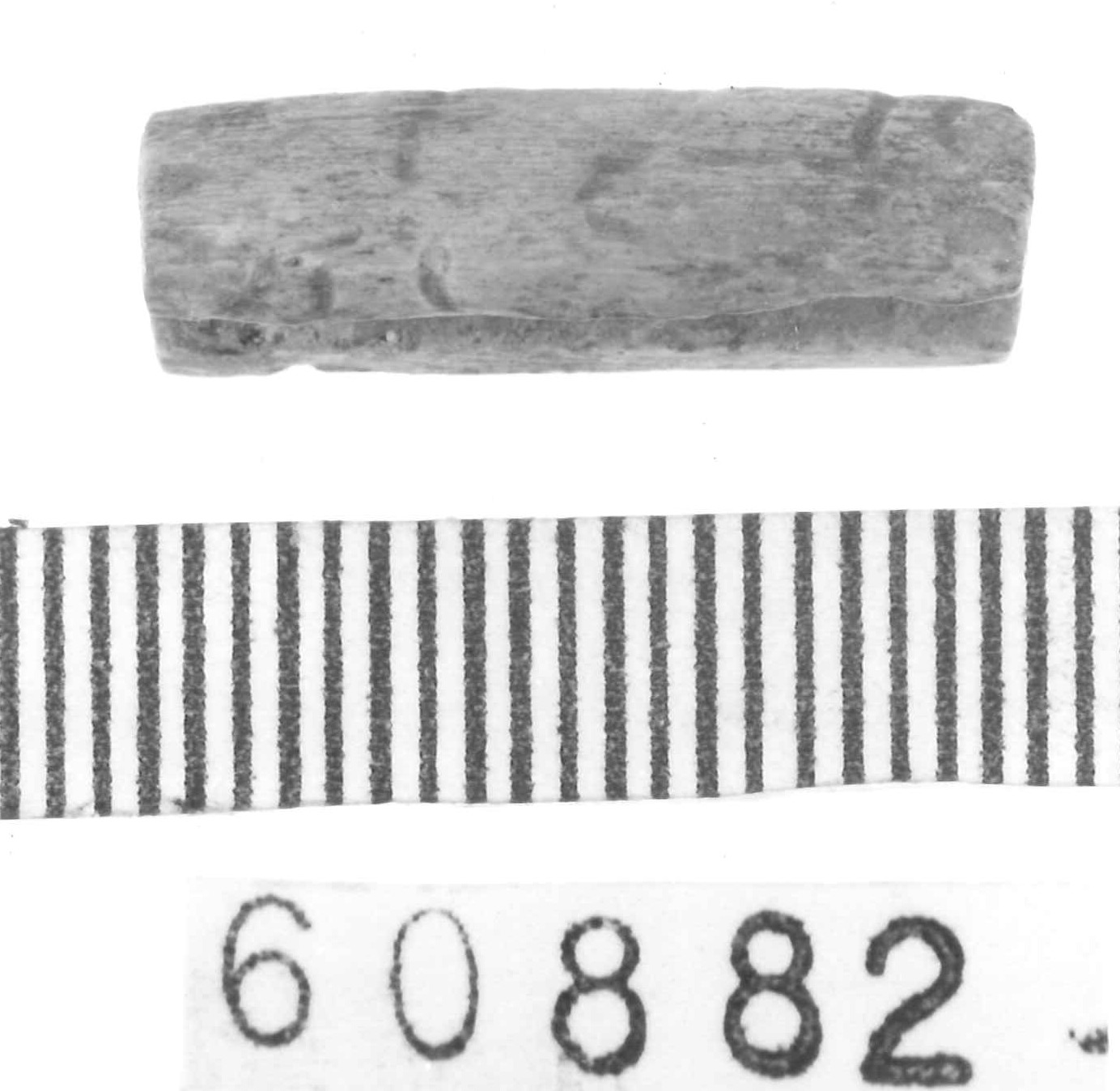 elemento di rivestimento/ frammento - Piceno III (secc. VII-VI a.C)