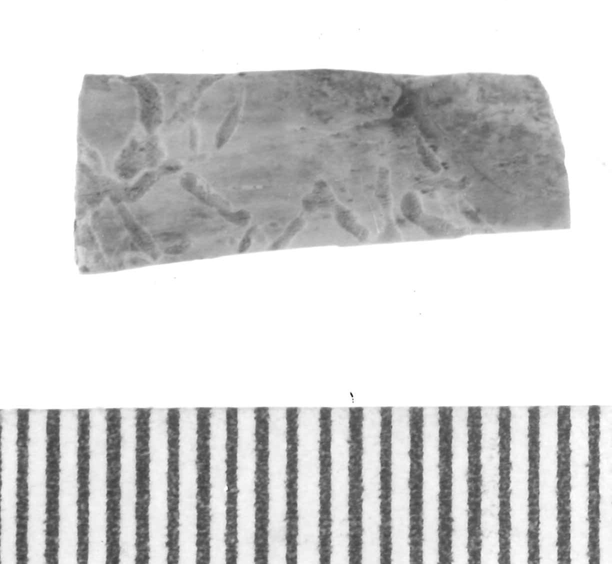 elemento di rivestimento/ frammento - Piceno III (secc. VII-VI a.C)