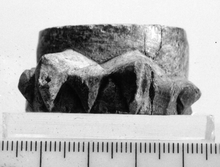 piede ferino (elemento decorativo) - fase Piceno III (secc. VII-VI a.C)