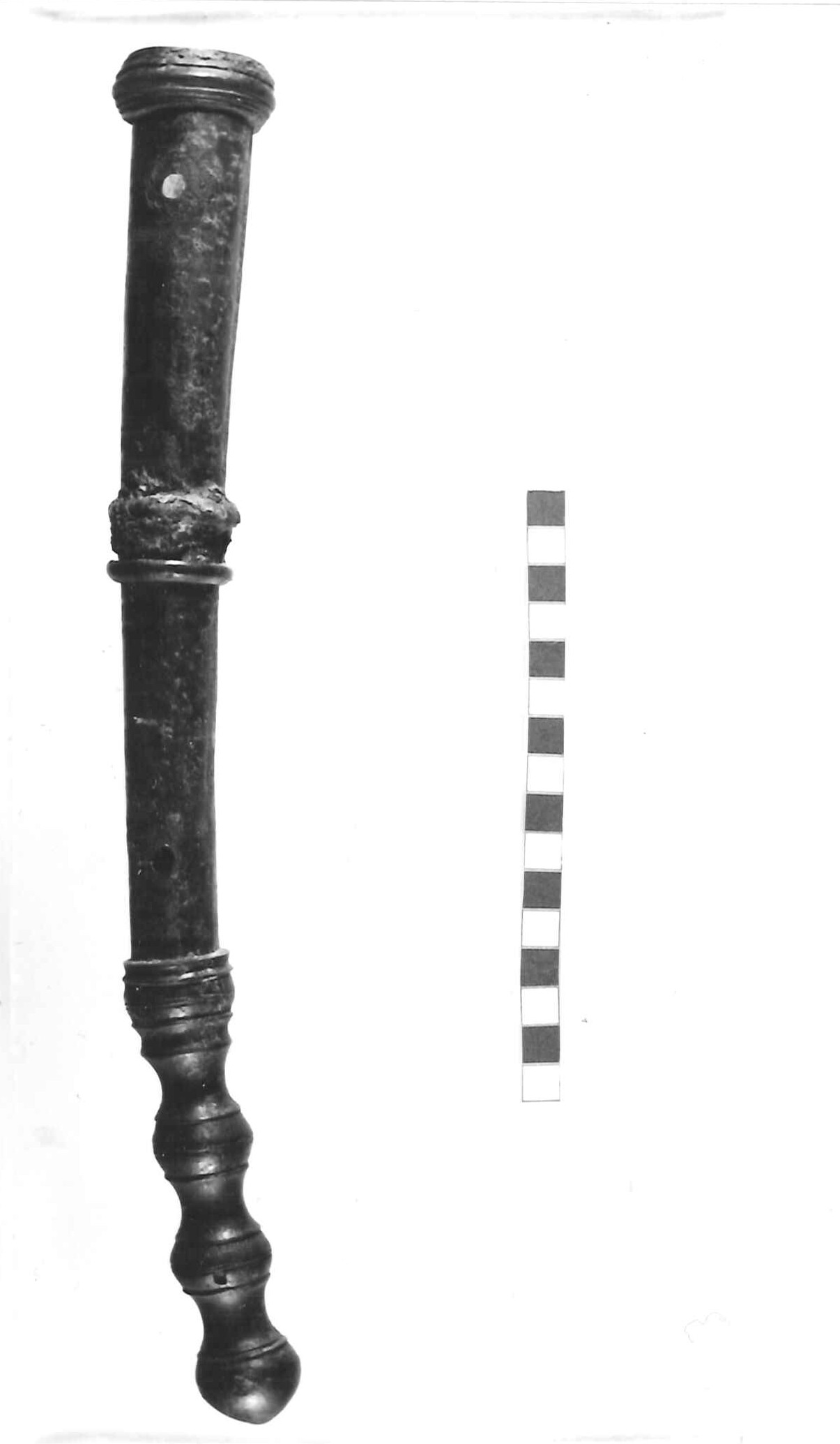 poggiaredini/ frammento - civiltà picena, Piceno III (sec. VII a.C)