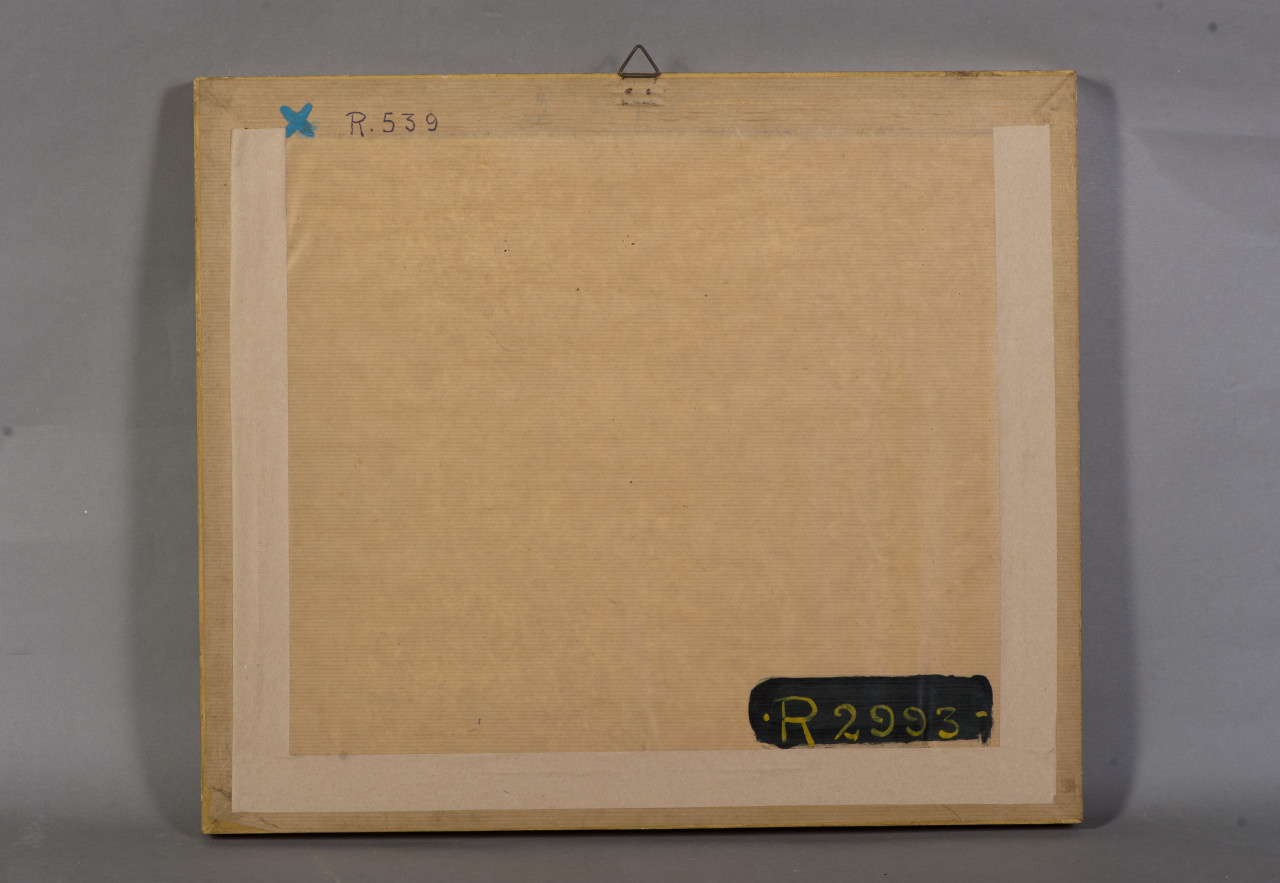 Oporto-Veduta di una parte dei Giardini e del Bosco, Veduta dei giardini della villa di Entre Quintas ad Oporto (stampa) di Gonin Guido, Gonin Enrico (metà sec. XIX)