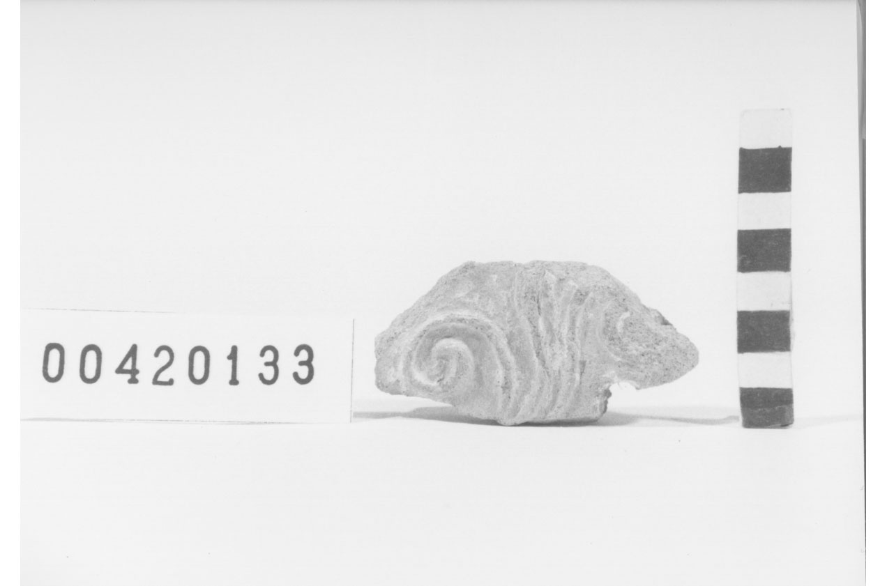 lastra di rivestimento/frammento (II sec. a.C.-I sec. a.C)