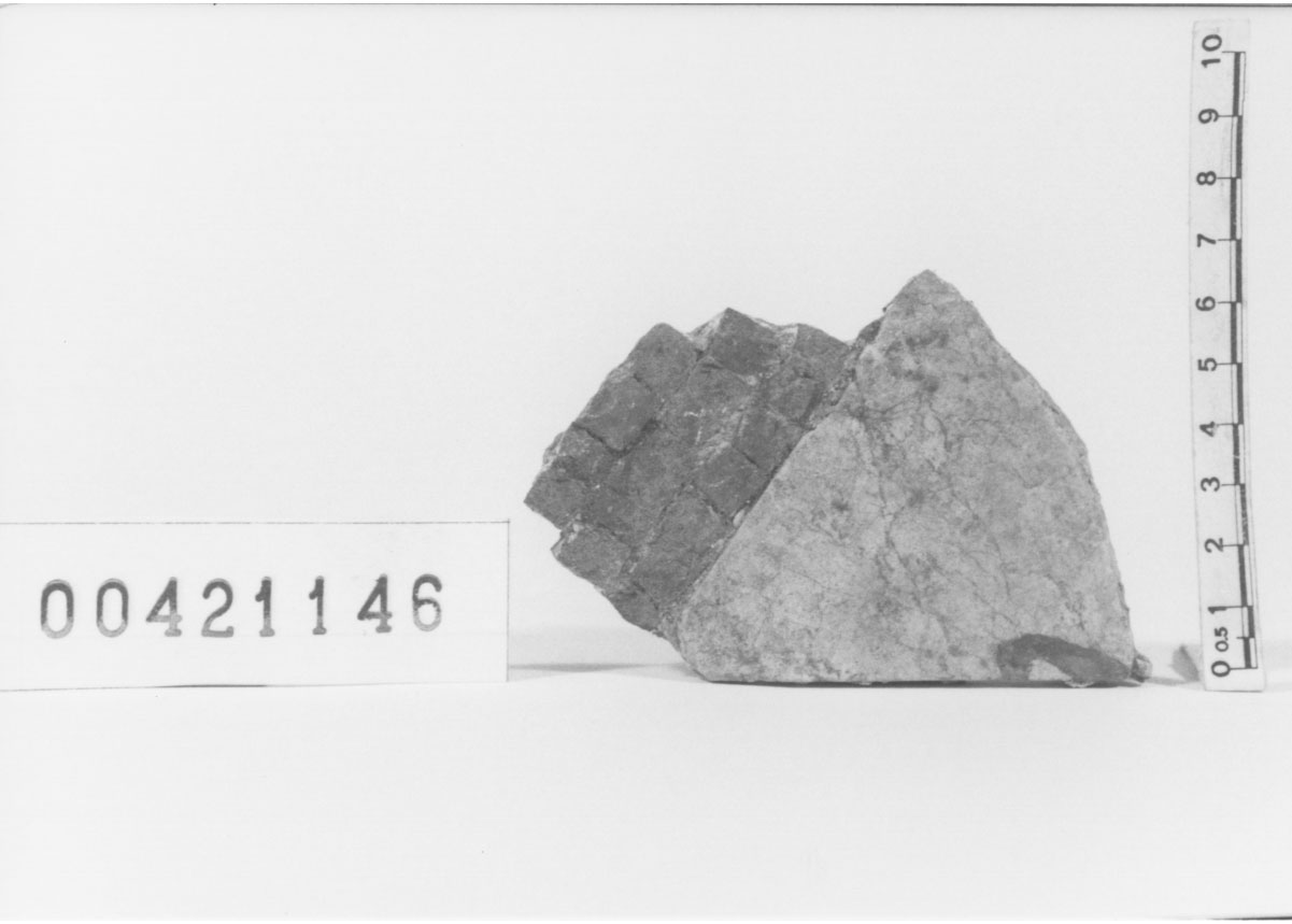 rivestimento a mosaico/frammento 