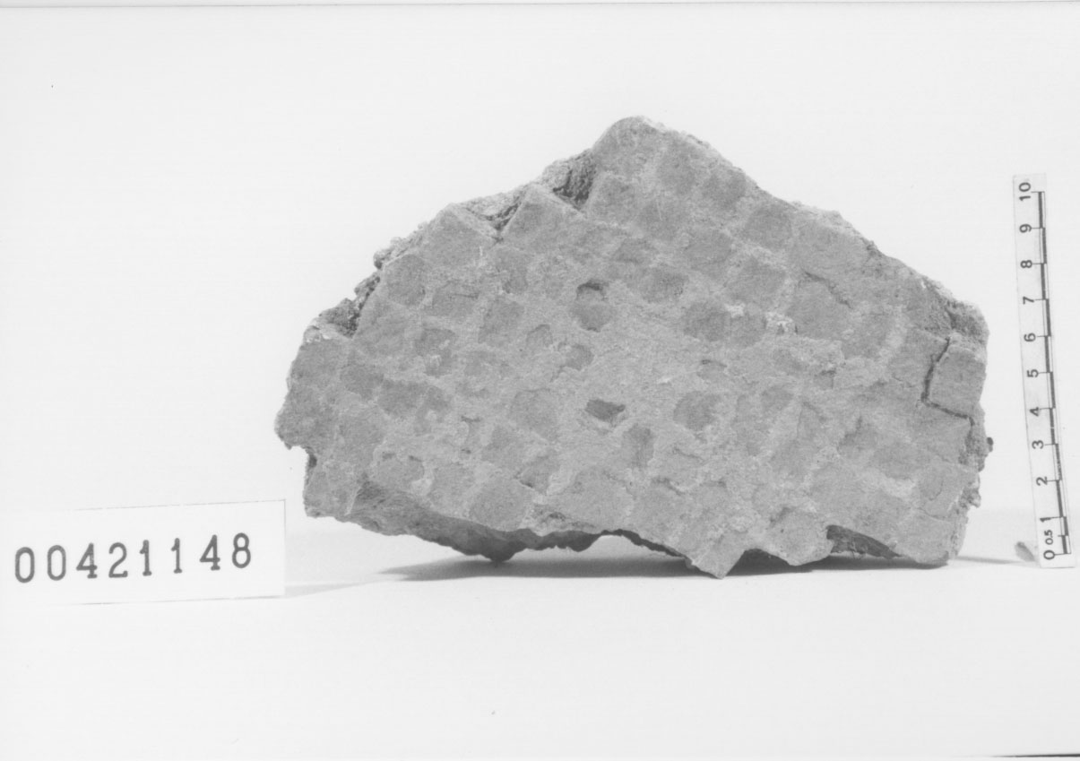 rivestimento a mosaico/frammento 