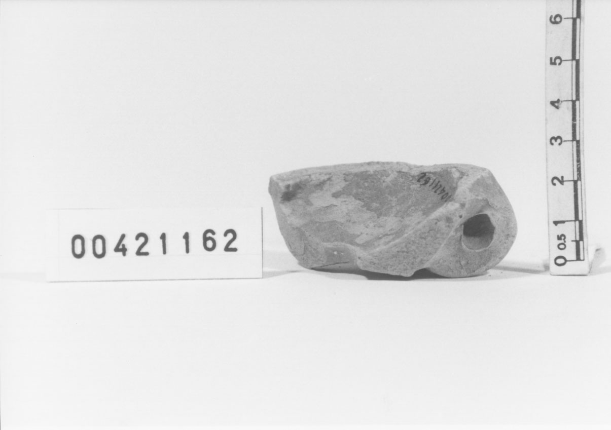 lucerna warzenlampen 