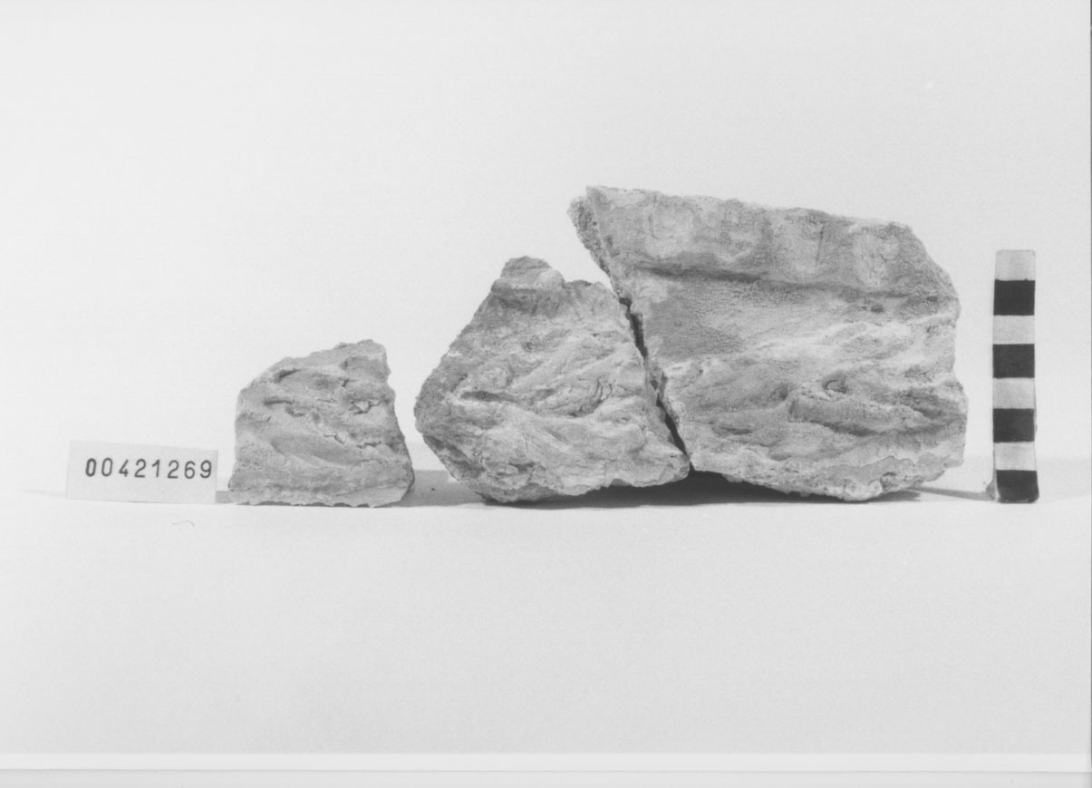 rivestimento in stucco/frammento 