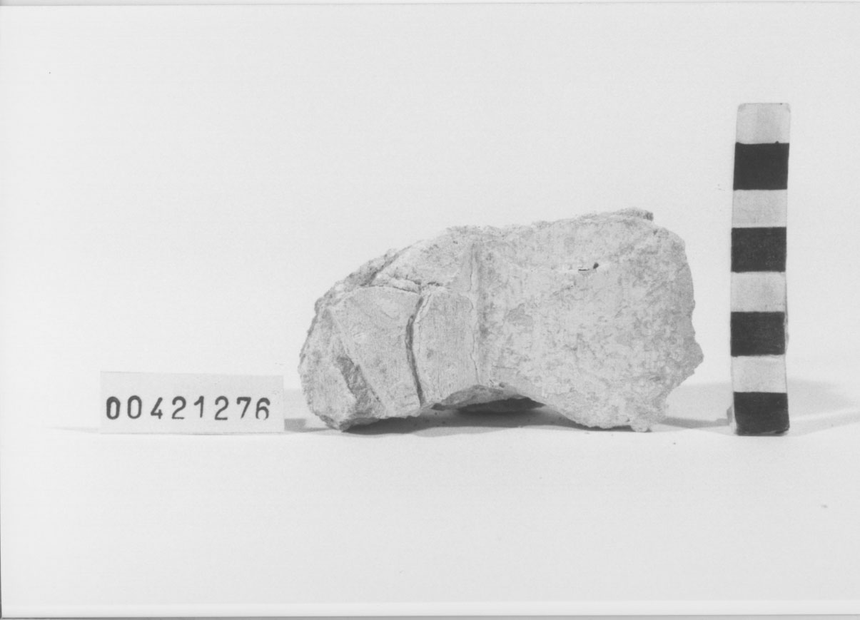 rivestimento in stucco/frammento 