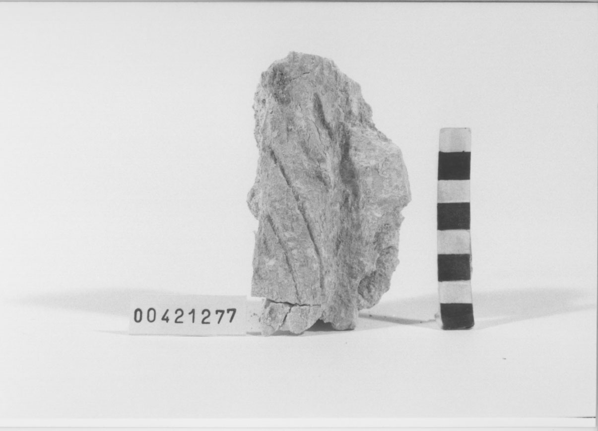 rivestimento in stucco/frammento 