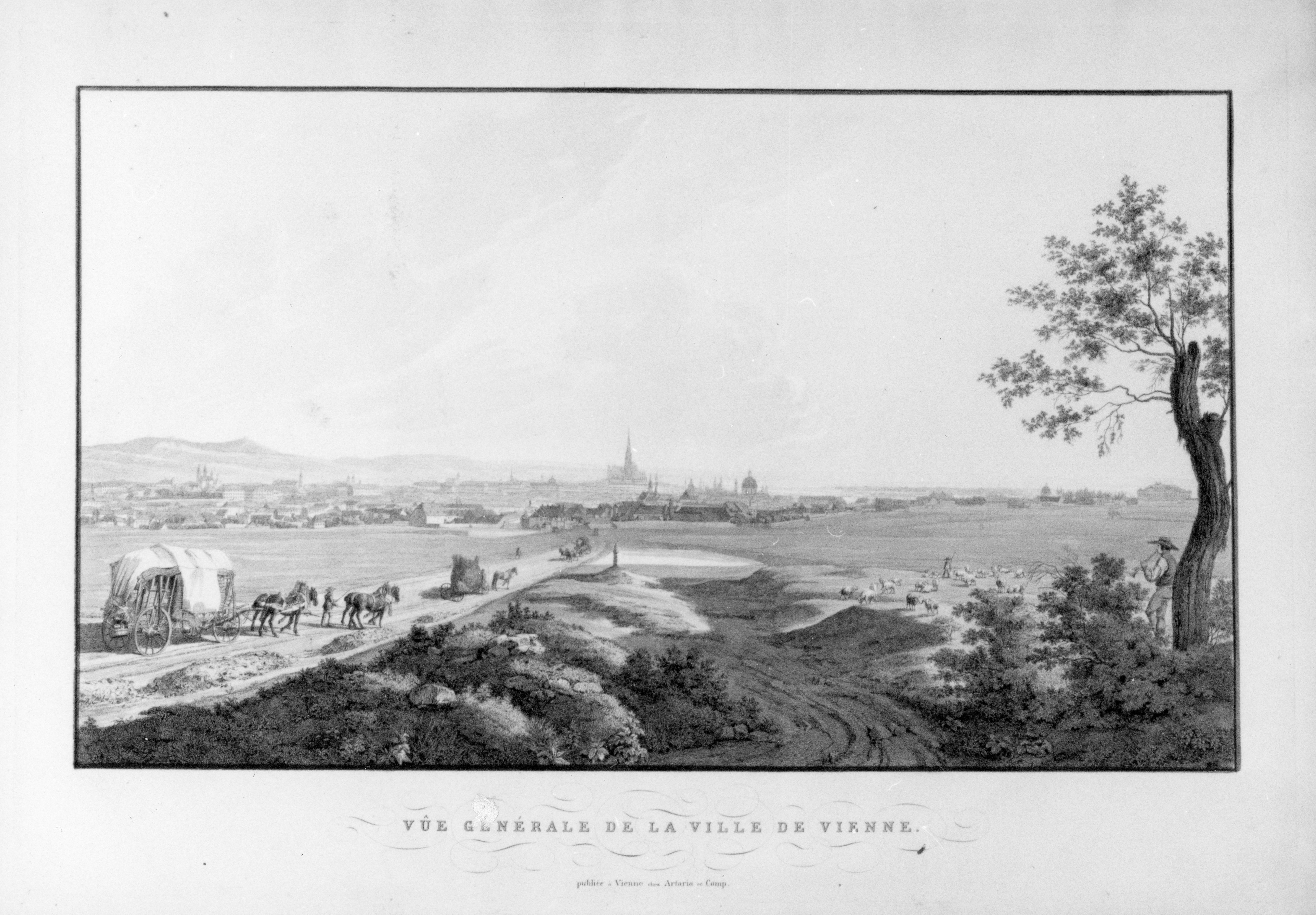 veduta di Vienna, veduta di città (stampa) - ambito tedesco (prima metà sec. XIX)