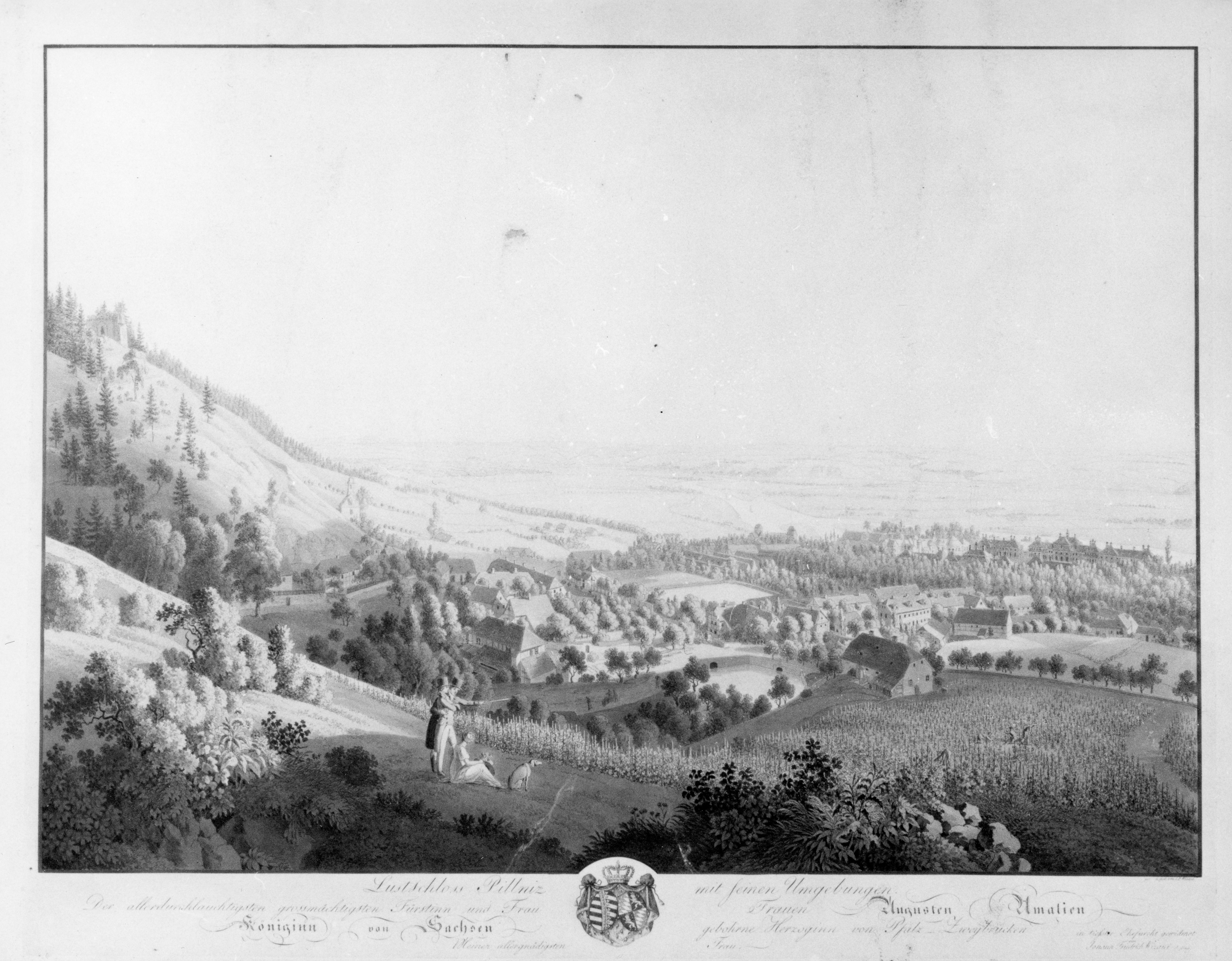 veduta di Pillnitz un castello presso Dresda, paesaggio con alberi e castello (stampa) di Wizani Friedrich (prima metà sec. XIX)