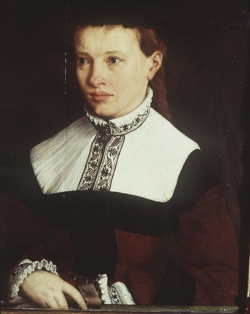 ritratto di Ursula Degnin (dipinto) di Amberger Christoph (secondo quarto sec. XVI)
