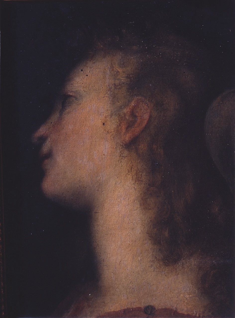 testa di angelo annunciante (dipinto) di Barocci Federico (ultimo quarto sec. XVI)