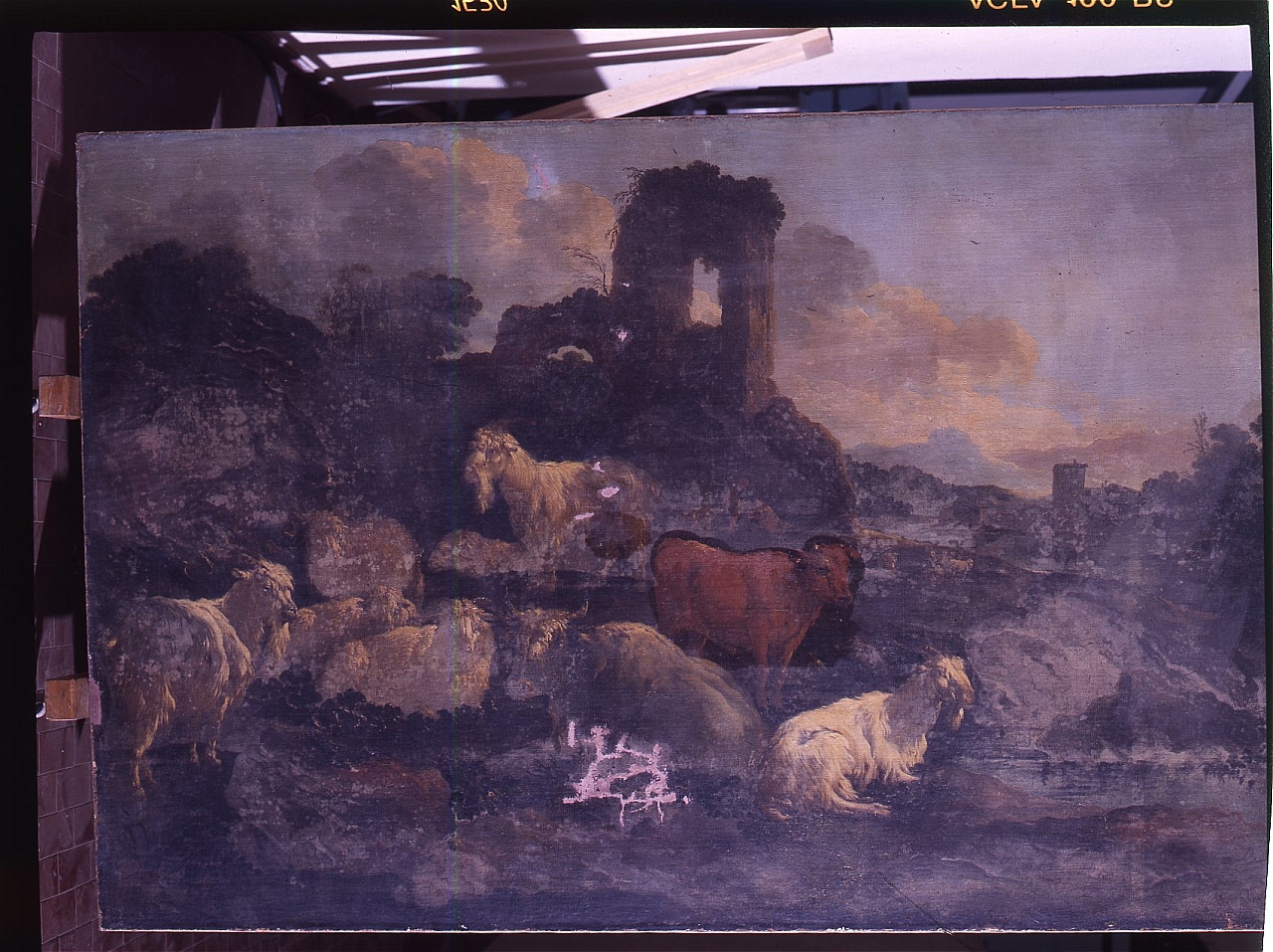 paesaggio con armenti (dipinto) di Roos Philipp Peter detto Rosa da Tivoli (sec. XVII)