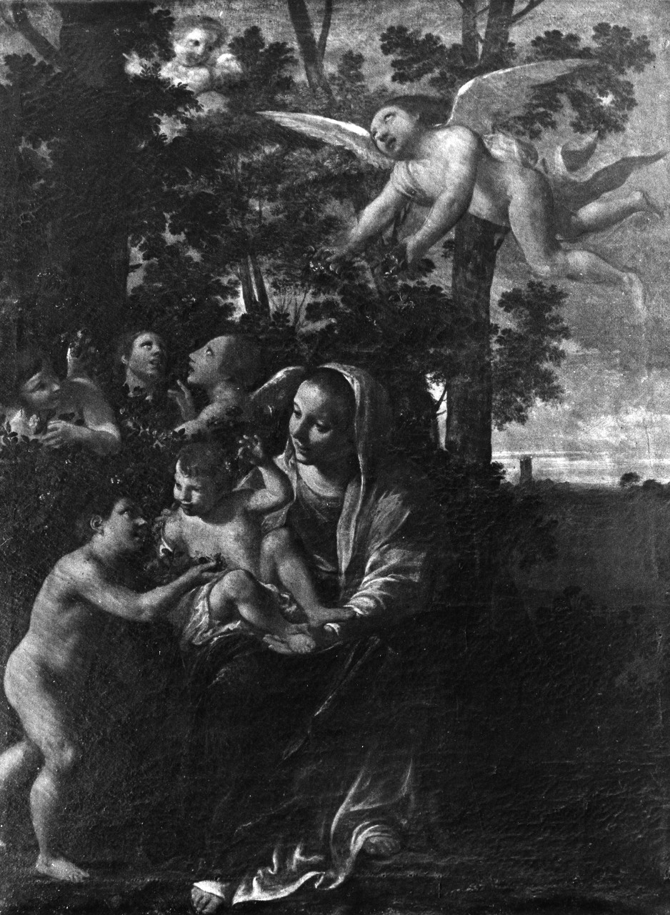 Madonna con Gesù Bambino, San Giovannino e angeli (dipinto) di Caroselli Angelo (sec. XVII)