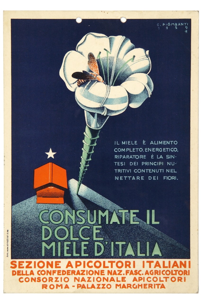(recto) grande fiore con ape nella corolla e piccola casetta rossa con stella in basso; (verso) brocca con grappoli d'uva dentro piatto (locandina) di Piombanti Ammannati Giuseppe (sec. XX)