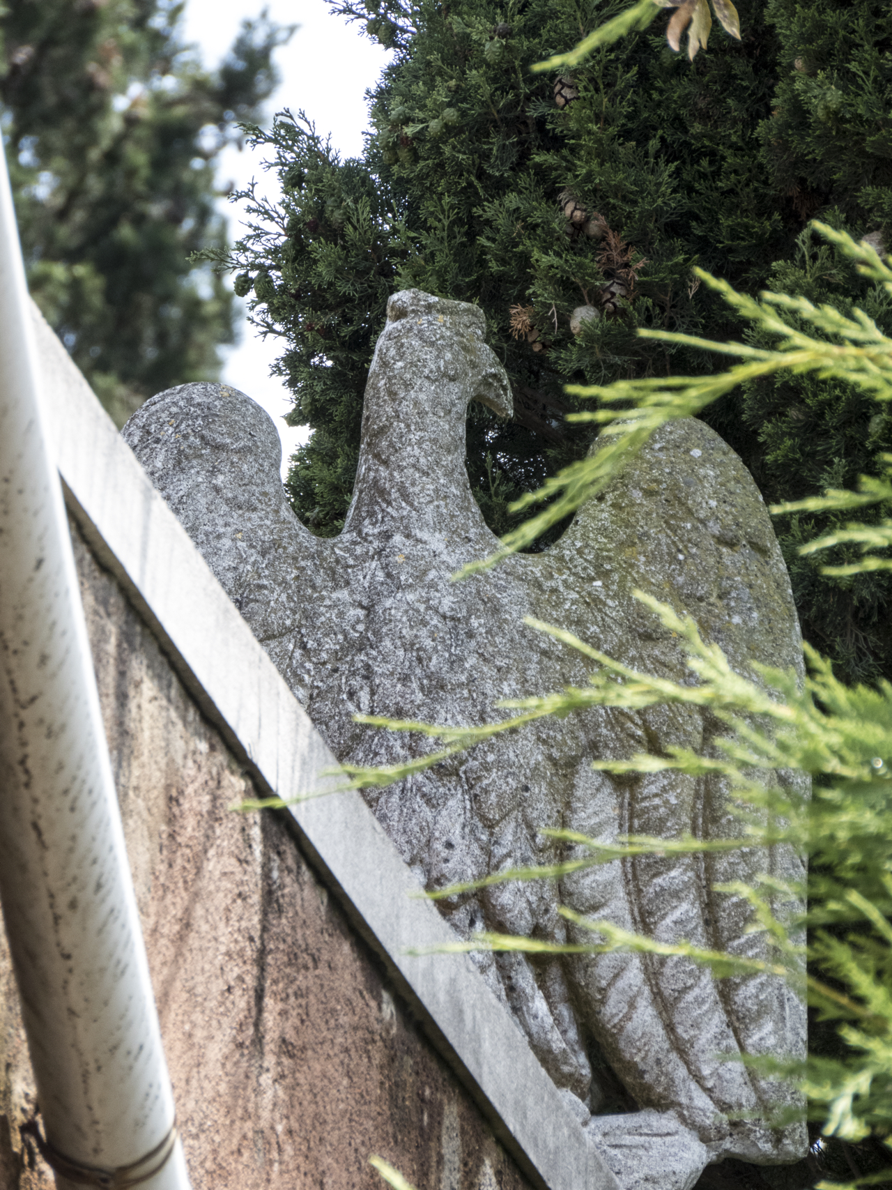 aquila (scultura, opera isolata) - ambito veneziano (sec. XX)