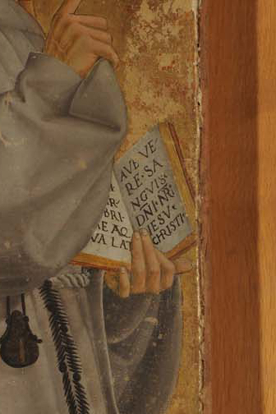 San Giacomo della Marca (dipinto, opera isolata) di Filotesio Nicola detto Cola dell'Amatrice (attribuito) - ambito Italia centrale (inizio sec. XVI)